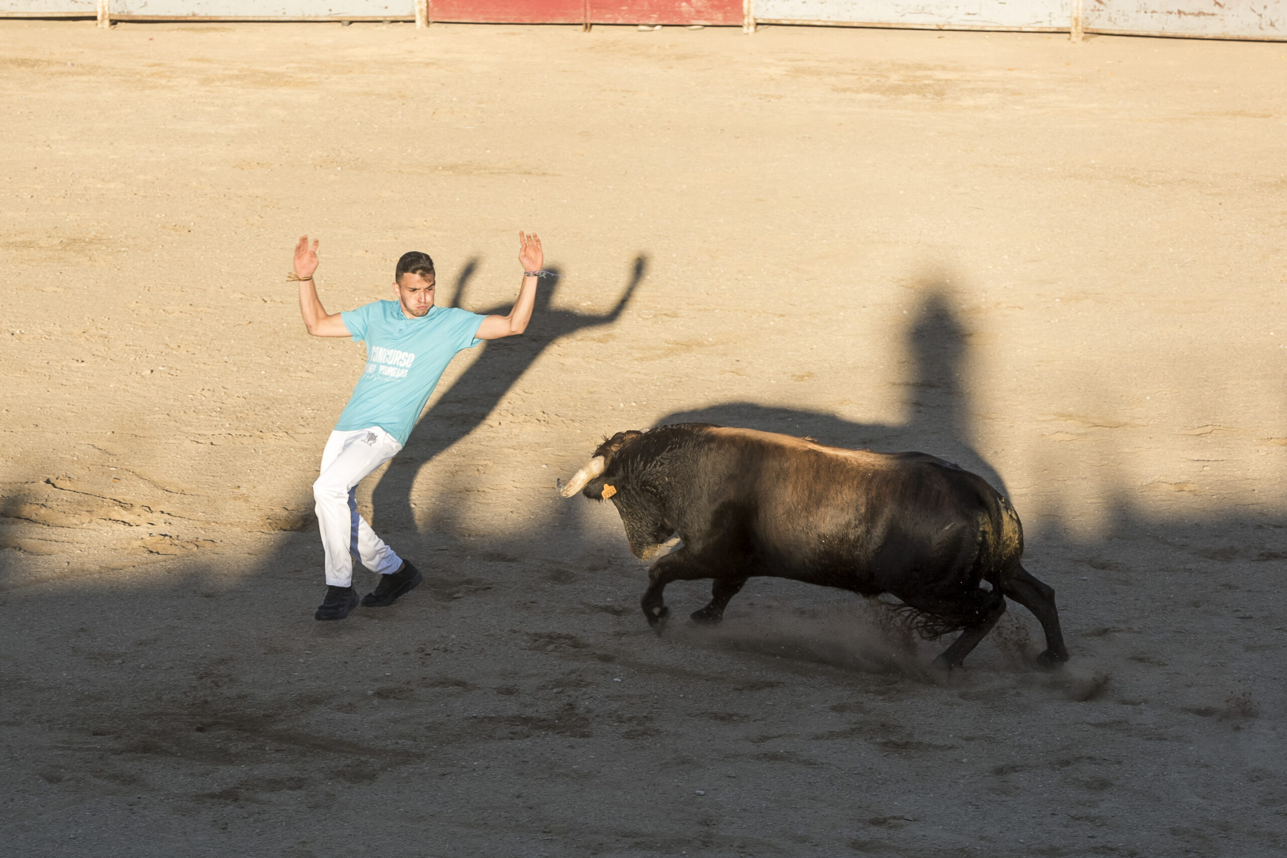 Concurso recortadores aficionados