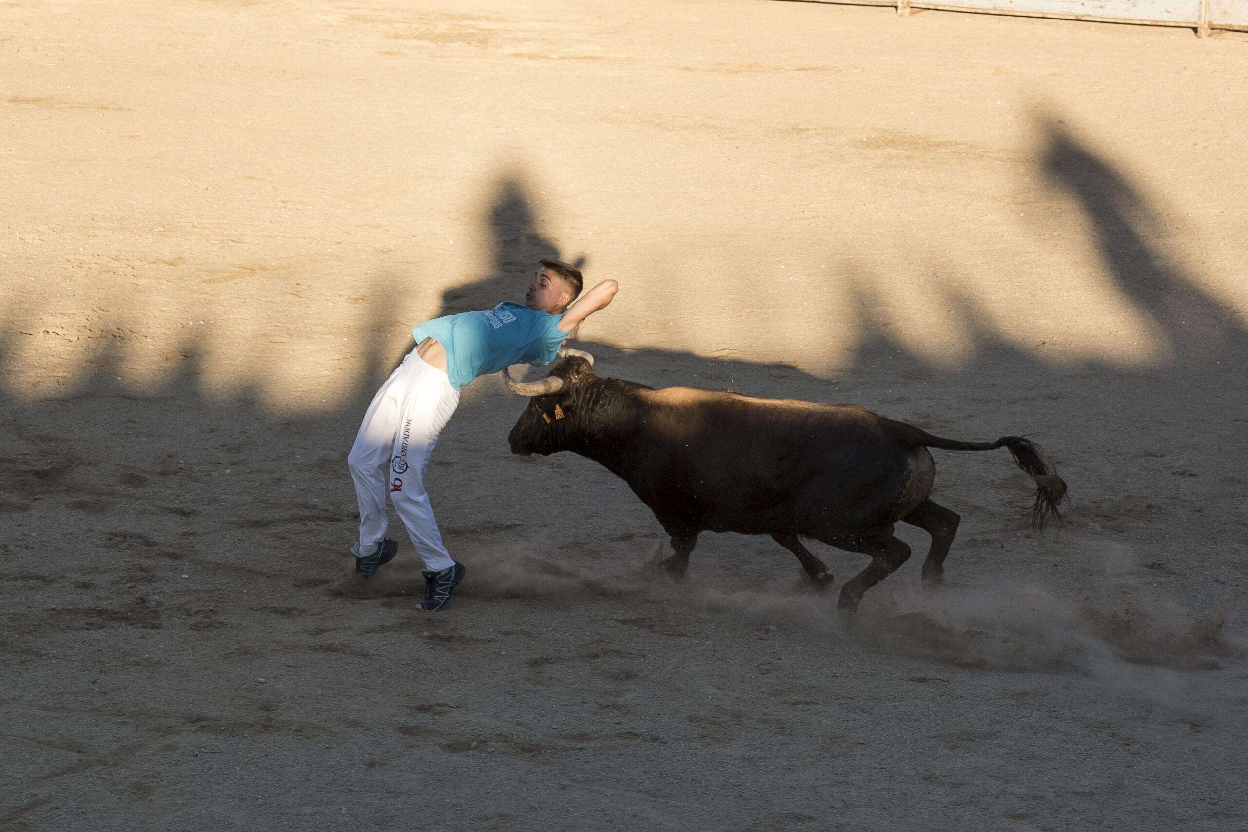 Concurso recortadores aficionados