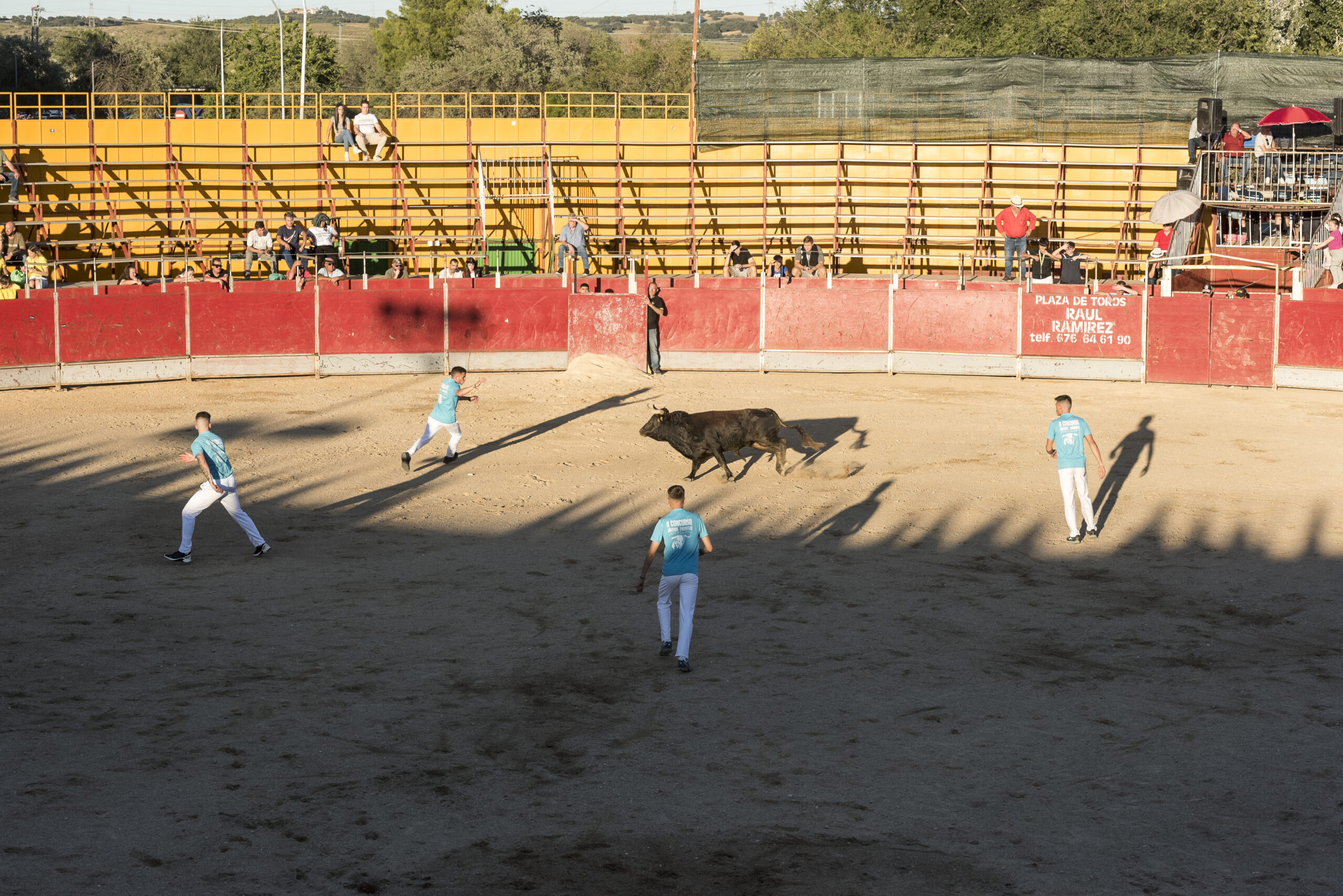 Concurso recortadores aficionados