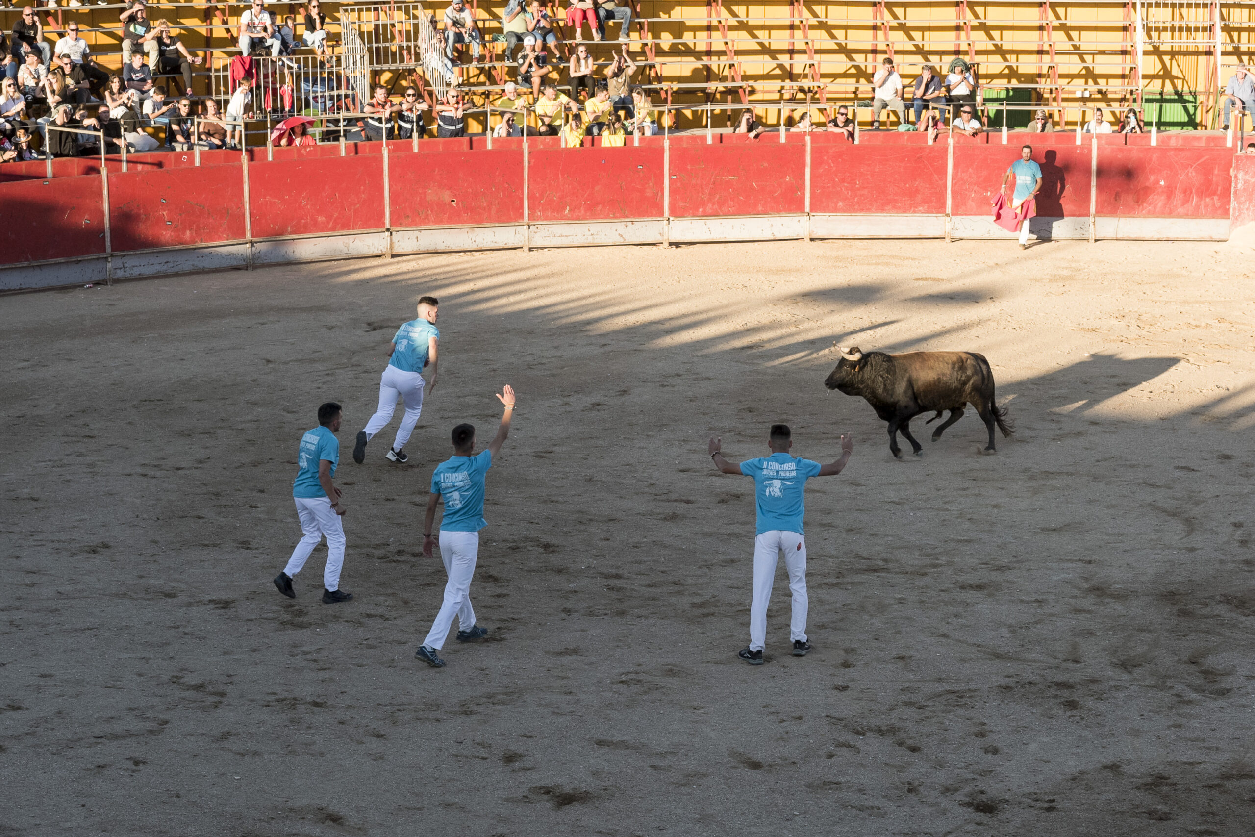 Concurso recortadores aficionados