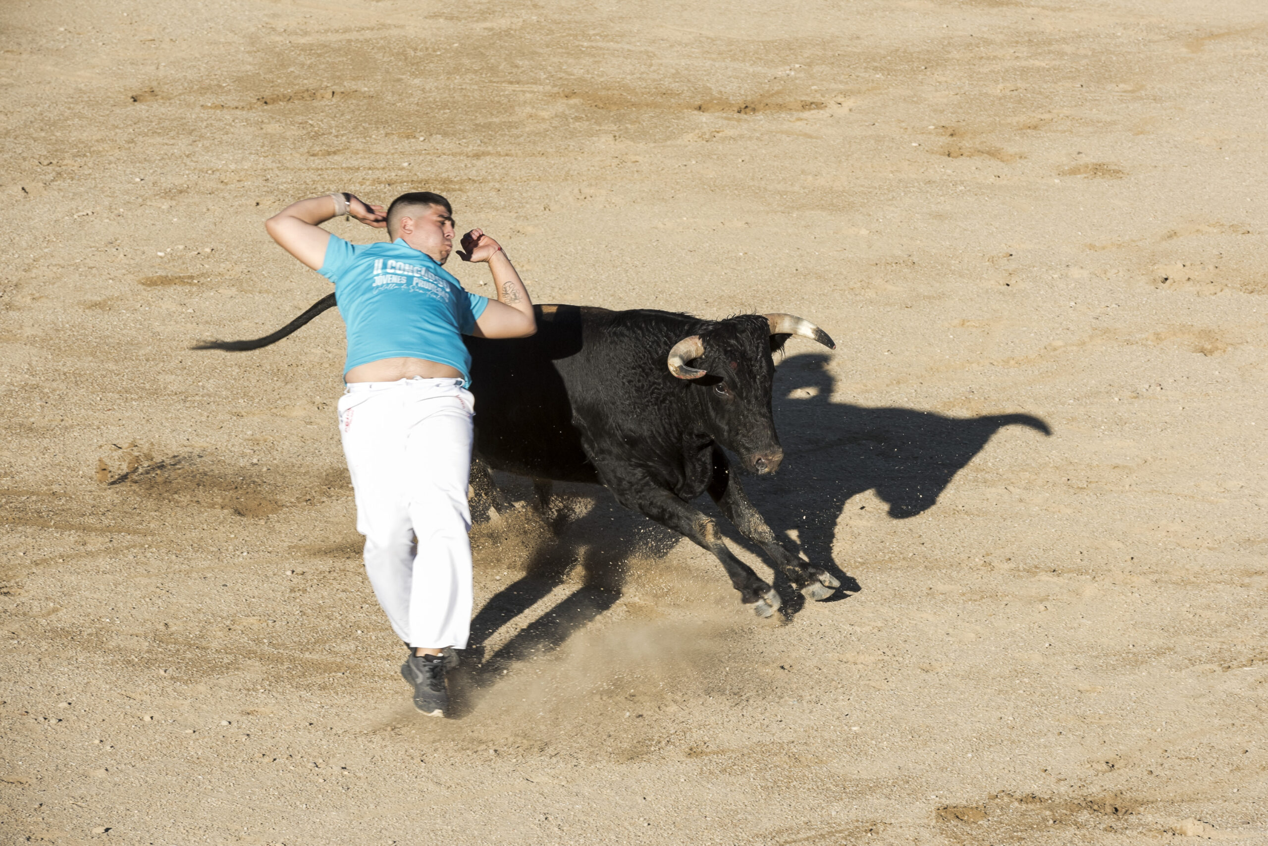 Concurso recortadores aficionados