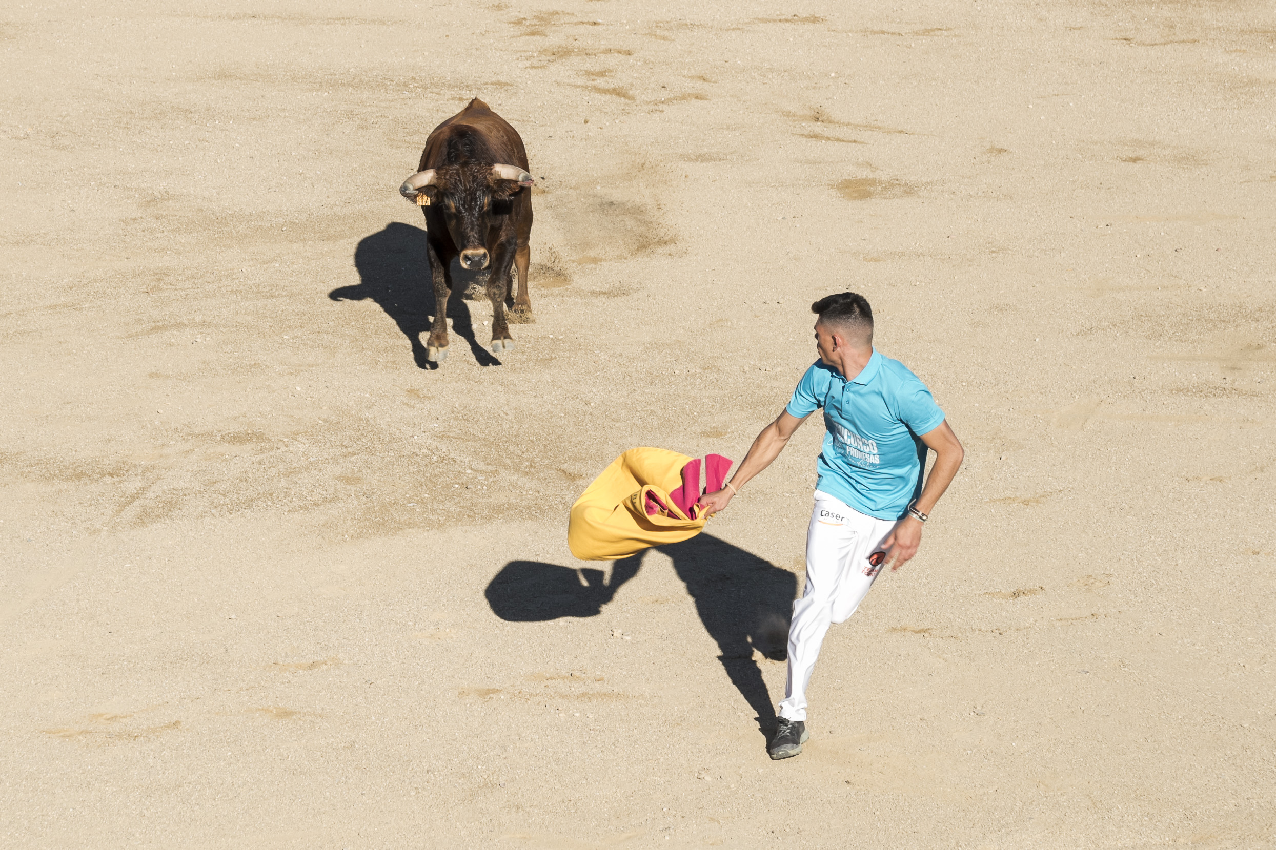 Concurso recortadores aficionados