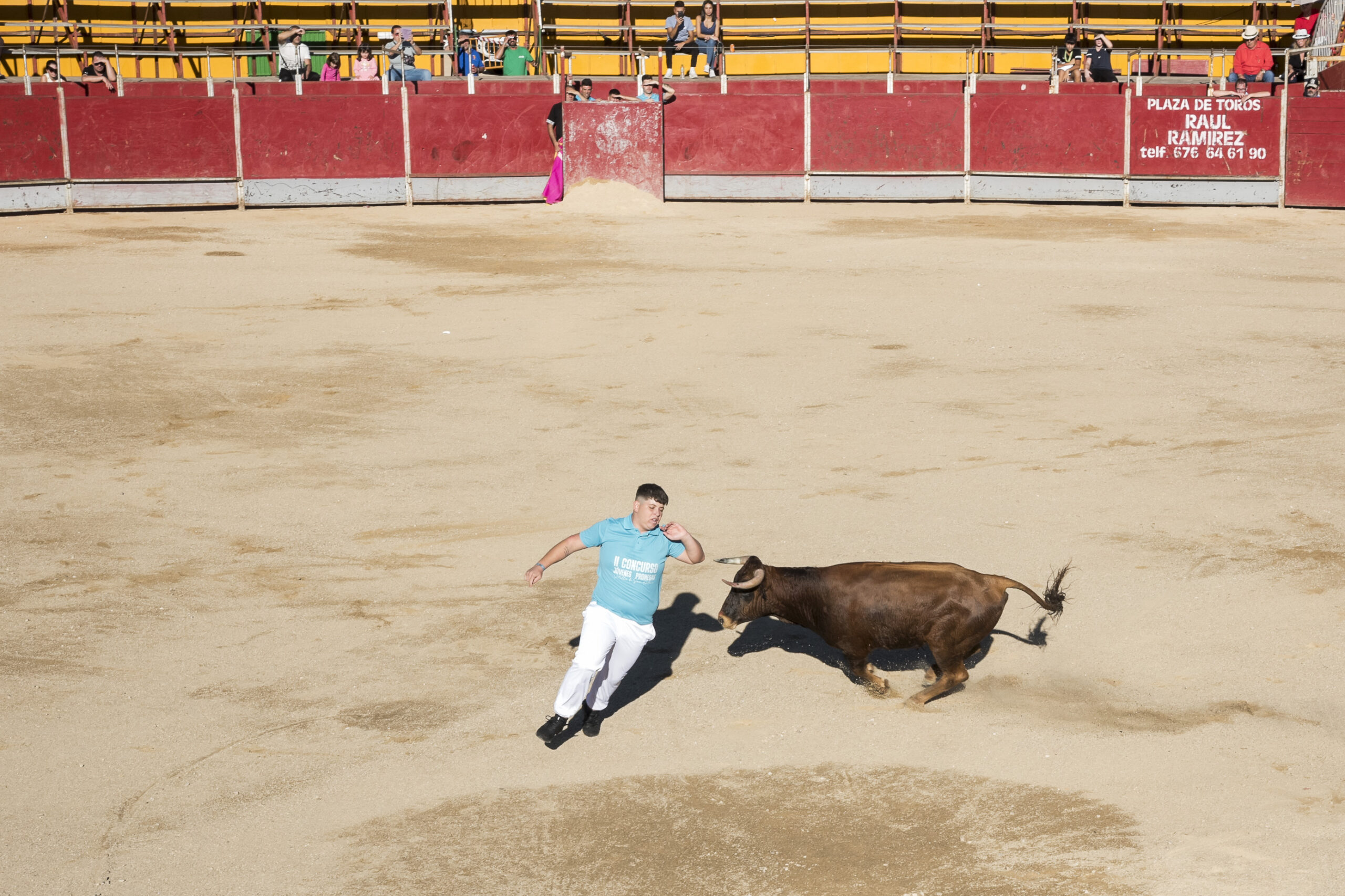 Concurso recortadores aficionados