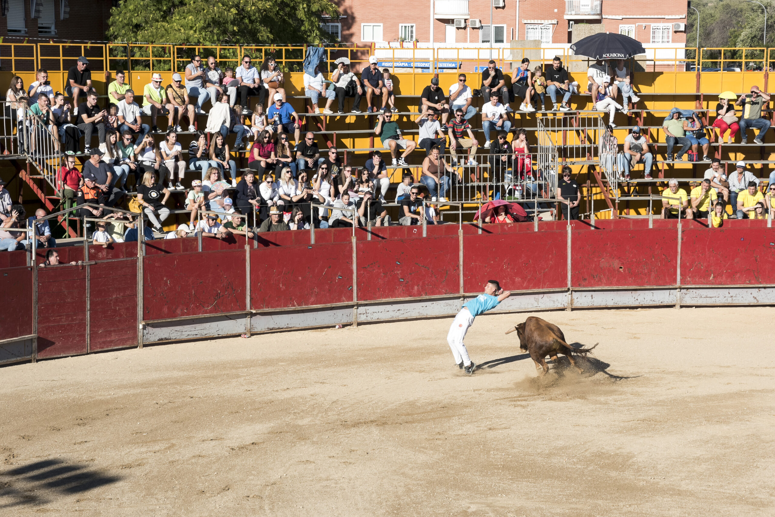 Concurso recortadores aficionados