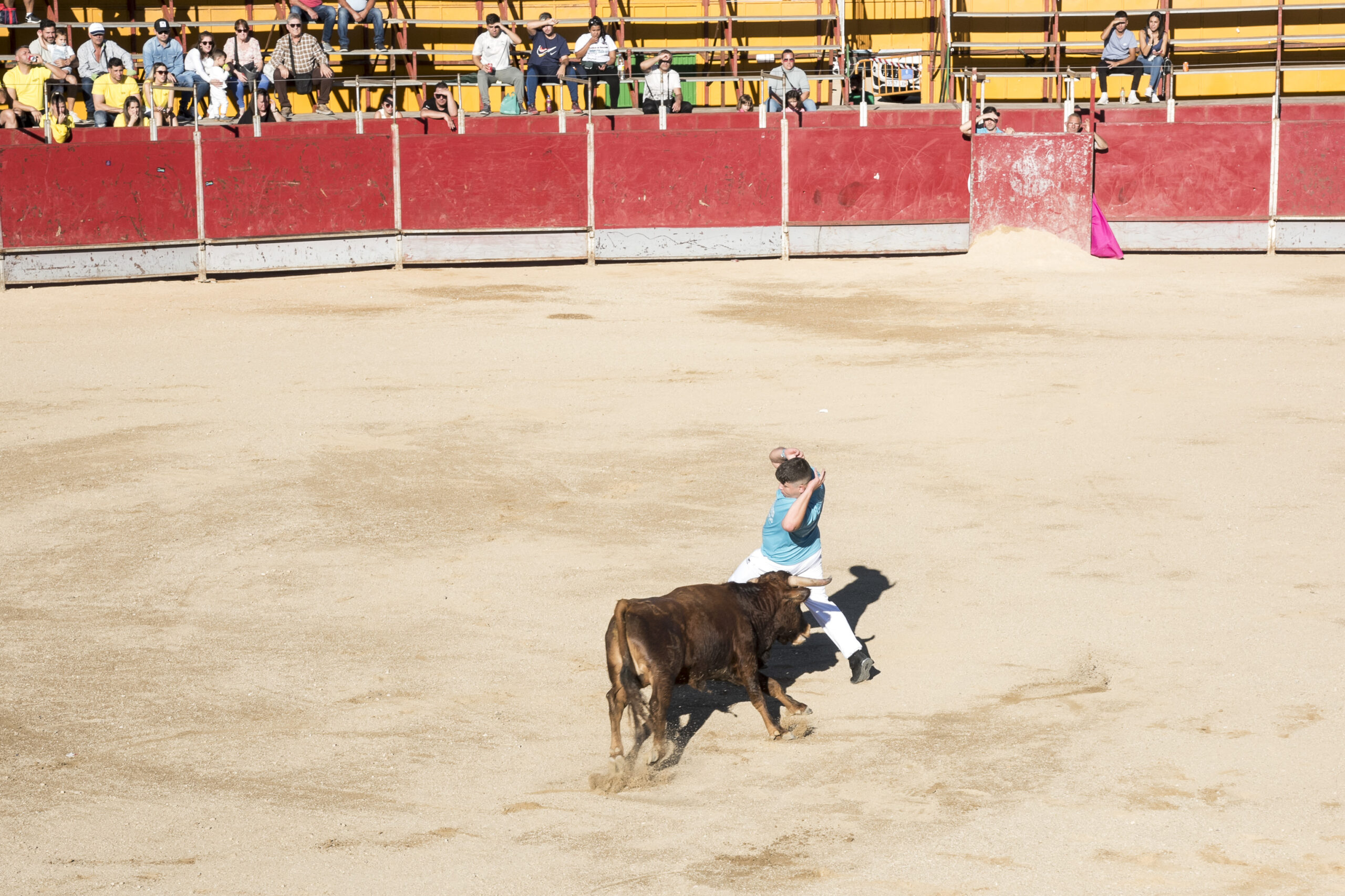 Concurso recortadores aficionados