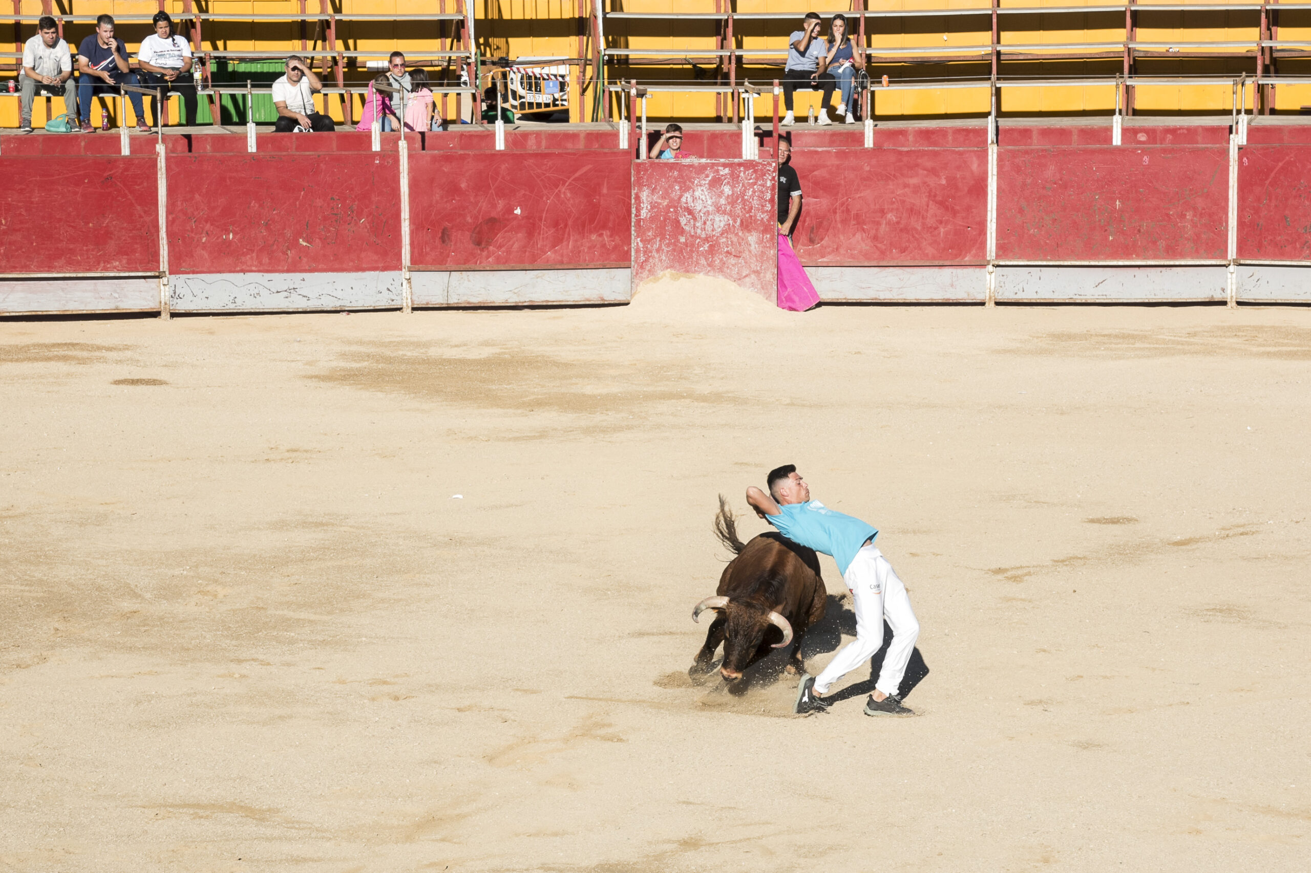 Concurso recortadores aficionados