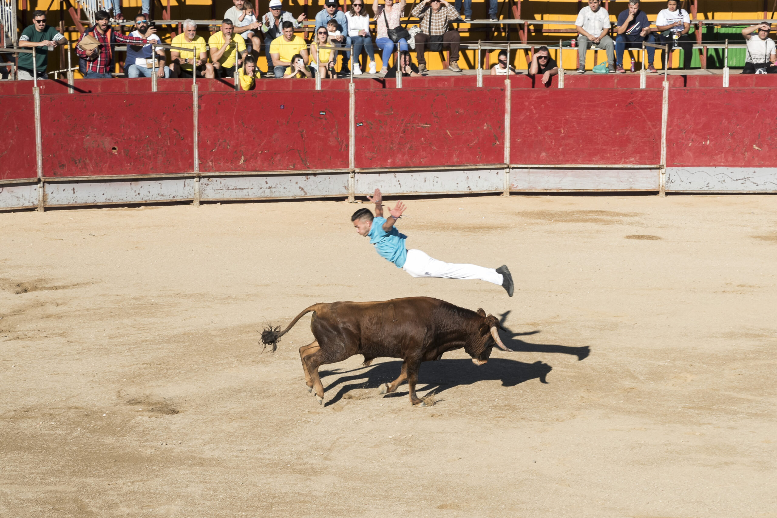 Concurso recortadores aficionados