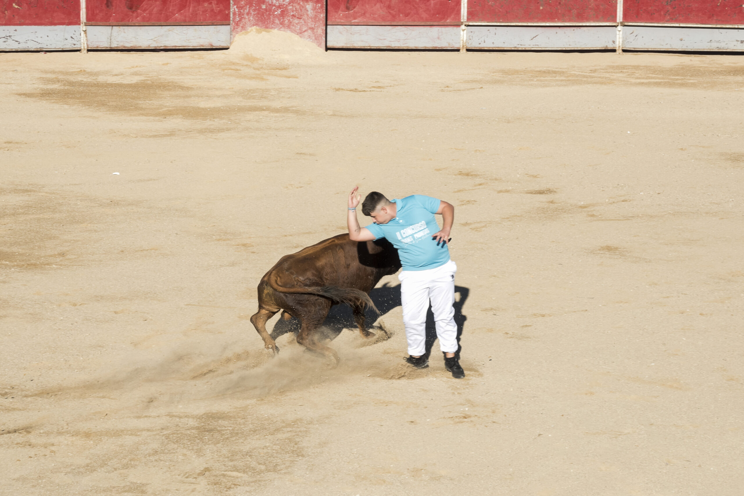 Concurso recortadores aficionados