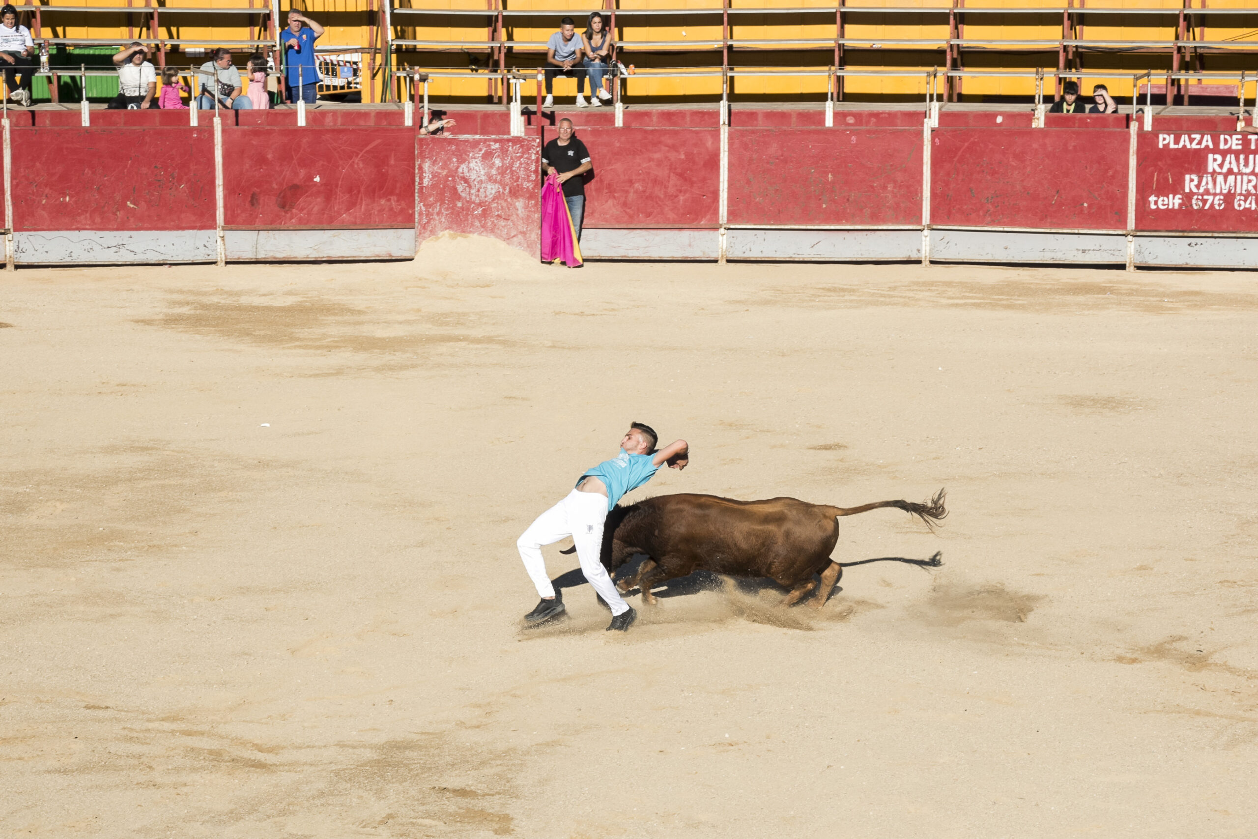 Concurso recortadores aficionados