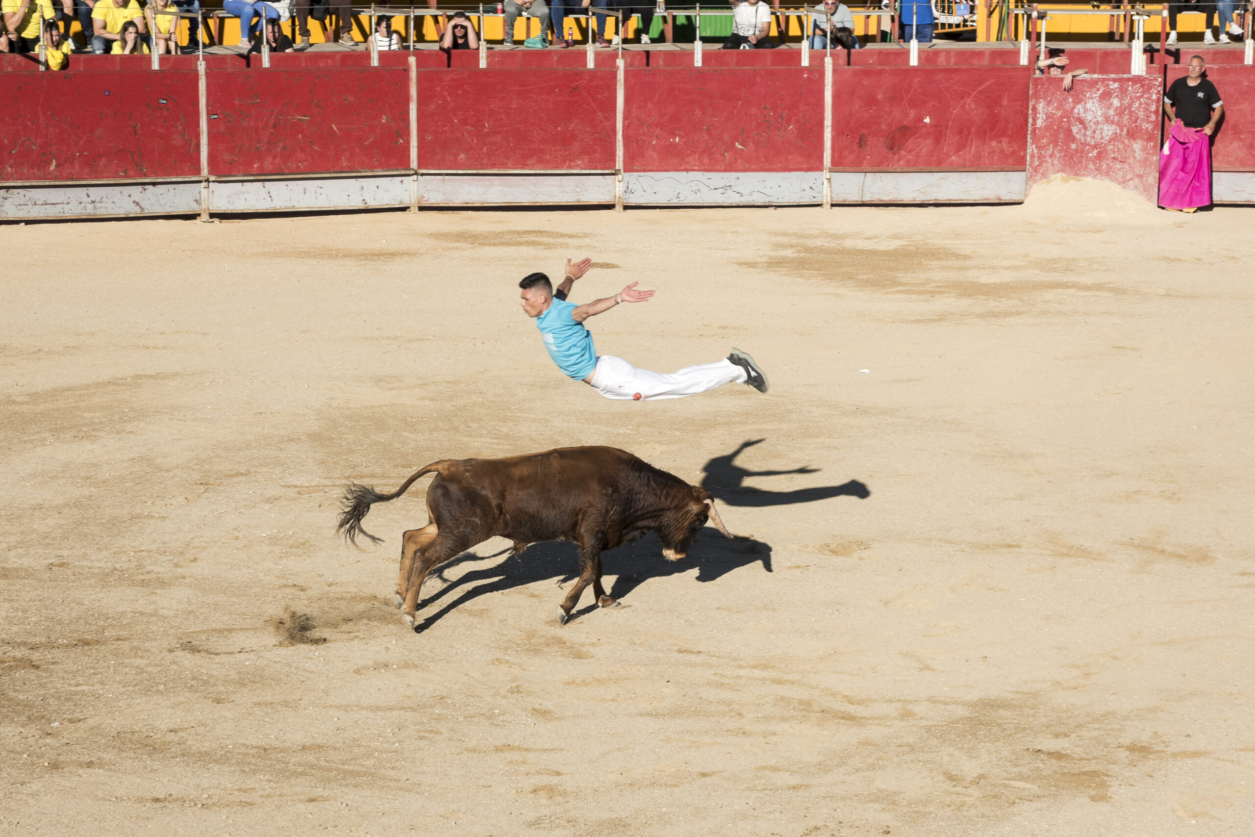 Concurso recortadores aficionados