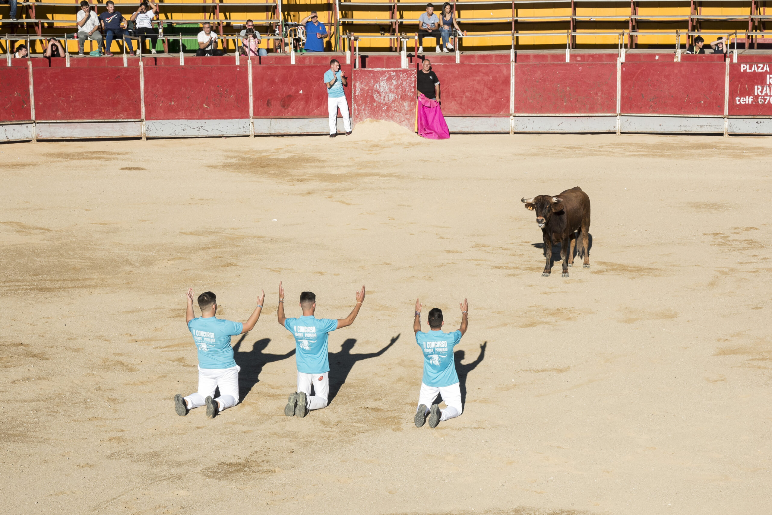 Concurso recortadores aficionados