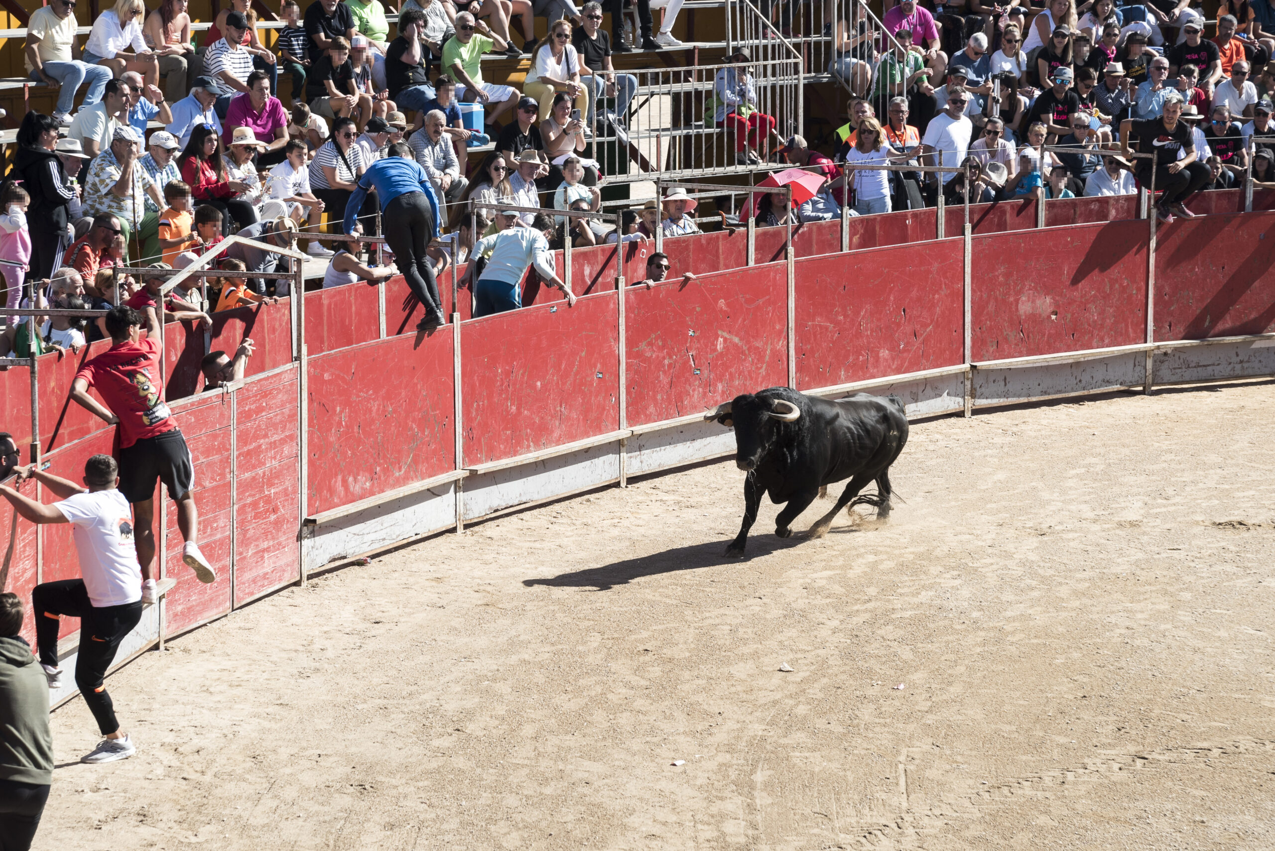 Encierro lunes 25 septiembre