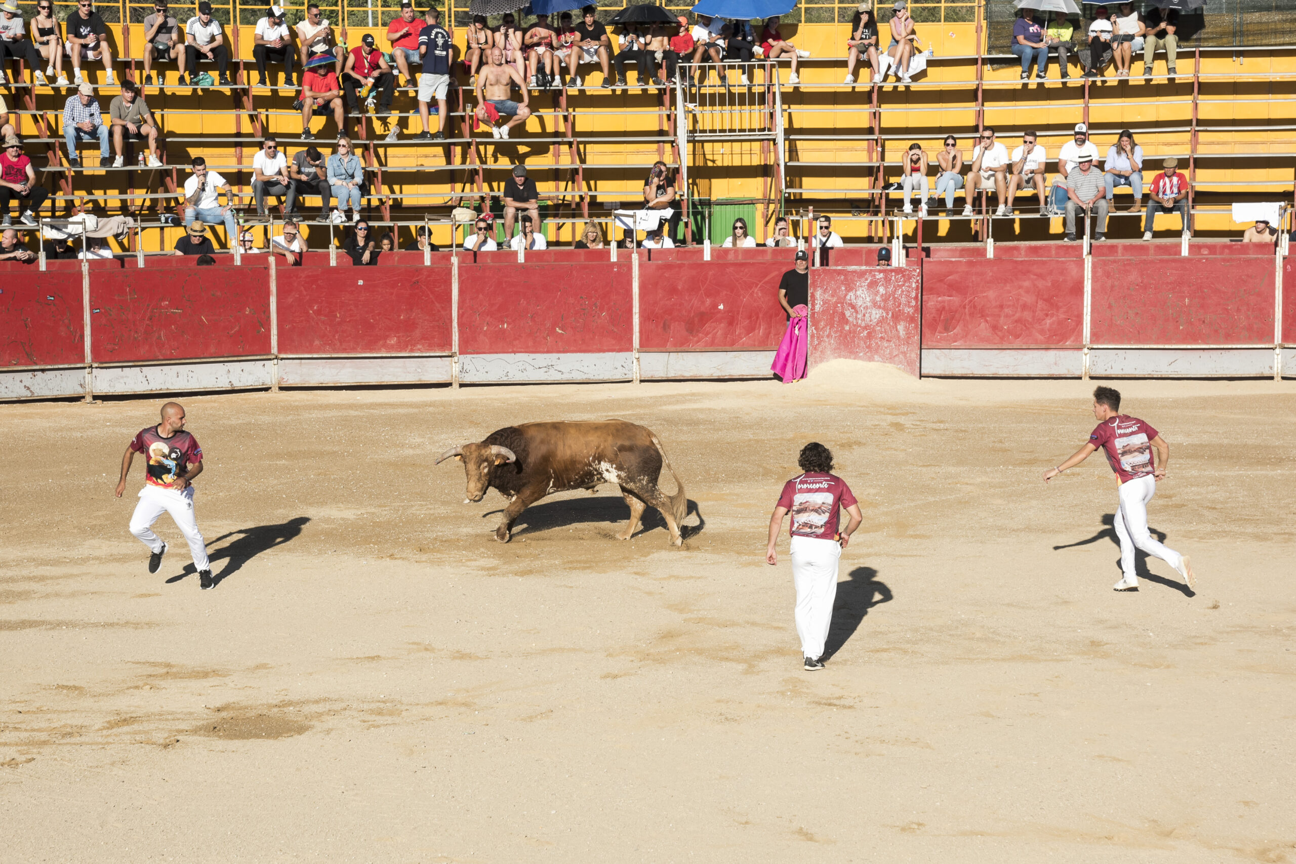 Concurso nacional de recortes