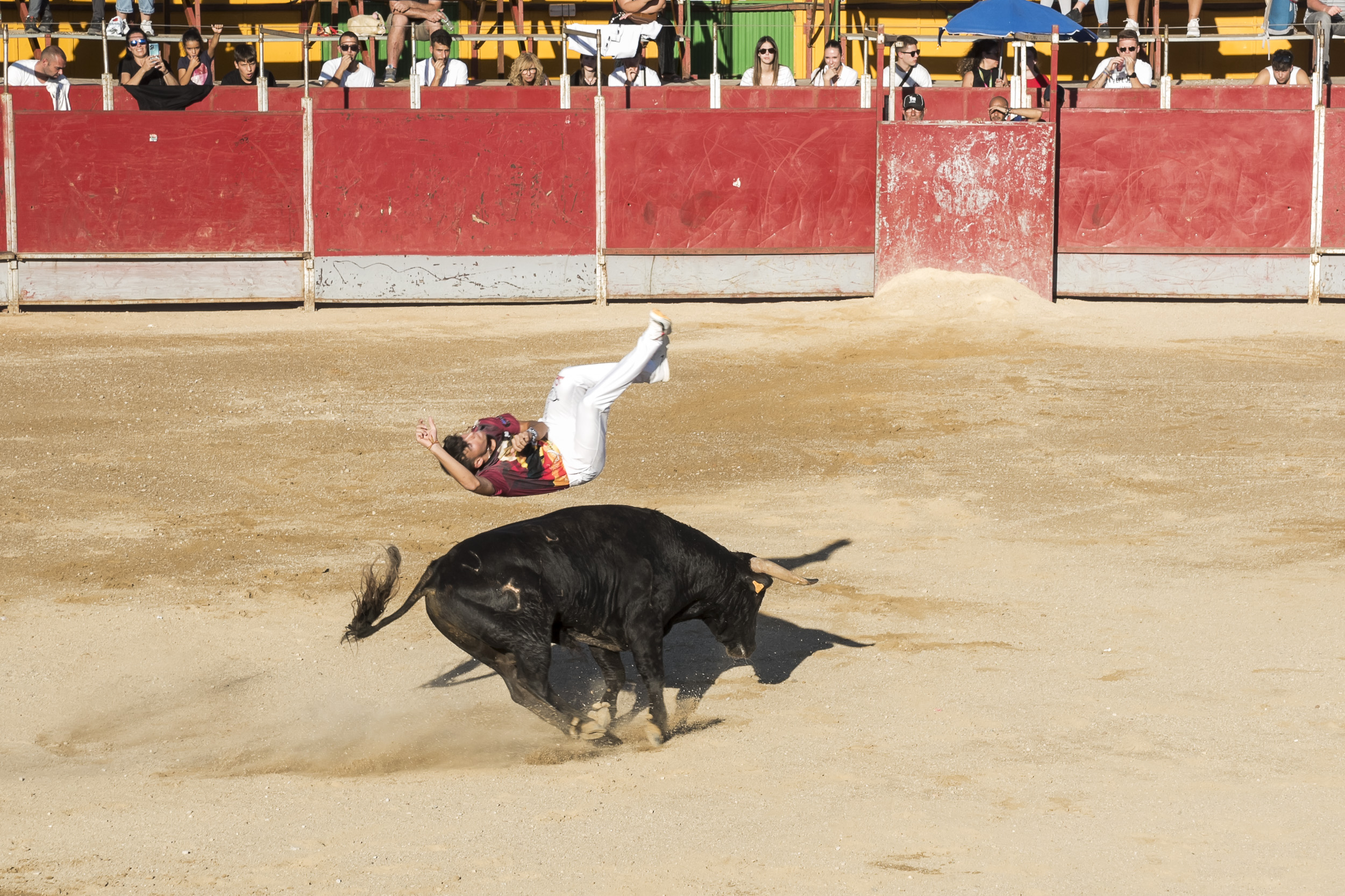 Concurso nacional de recortes