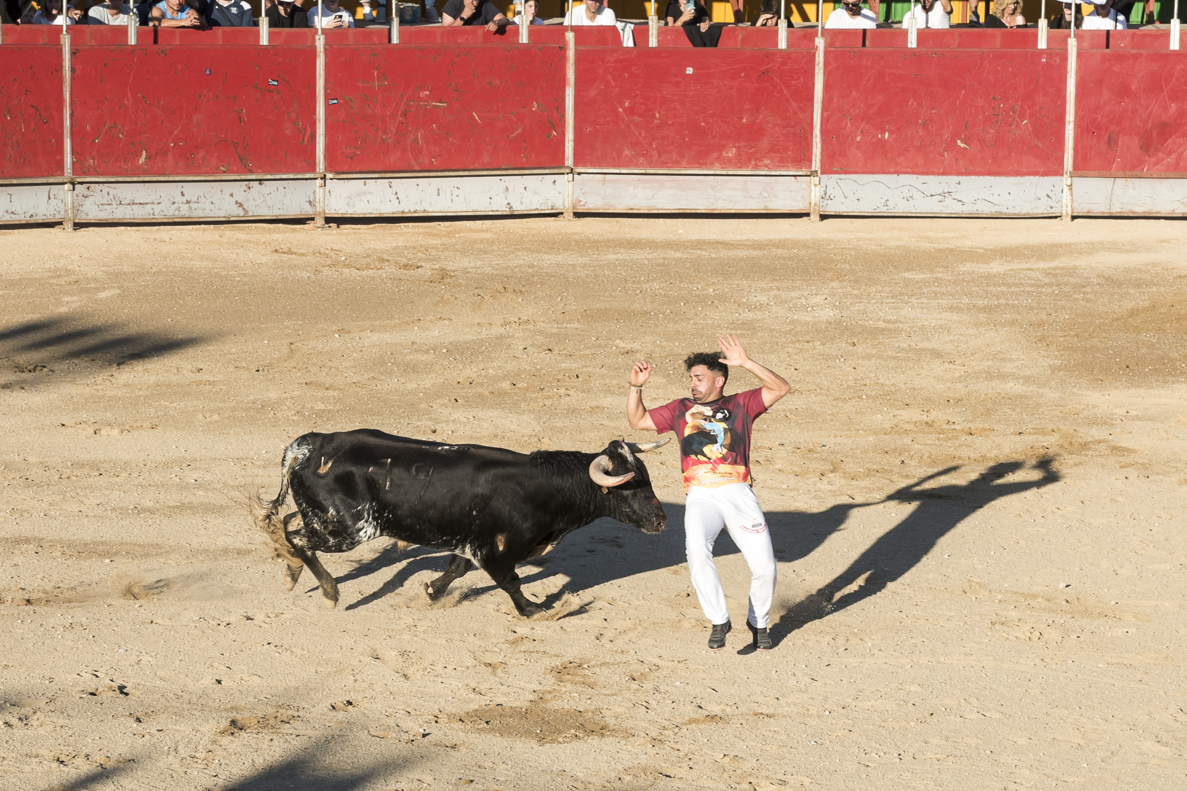 Concurso nacional de recortes