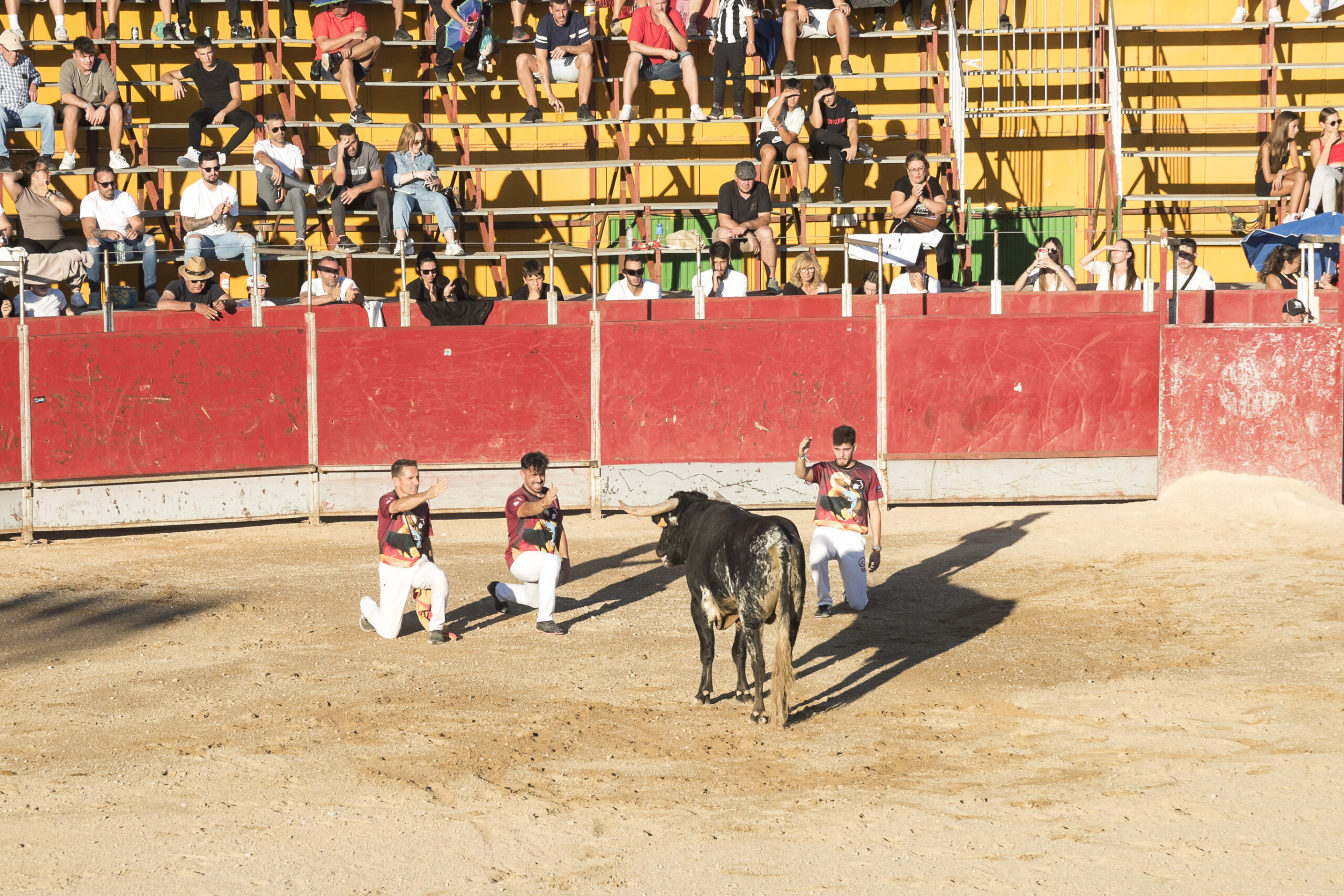 Concurso nacional de recortes