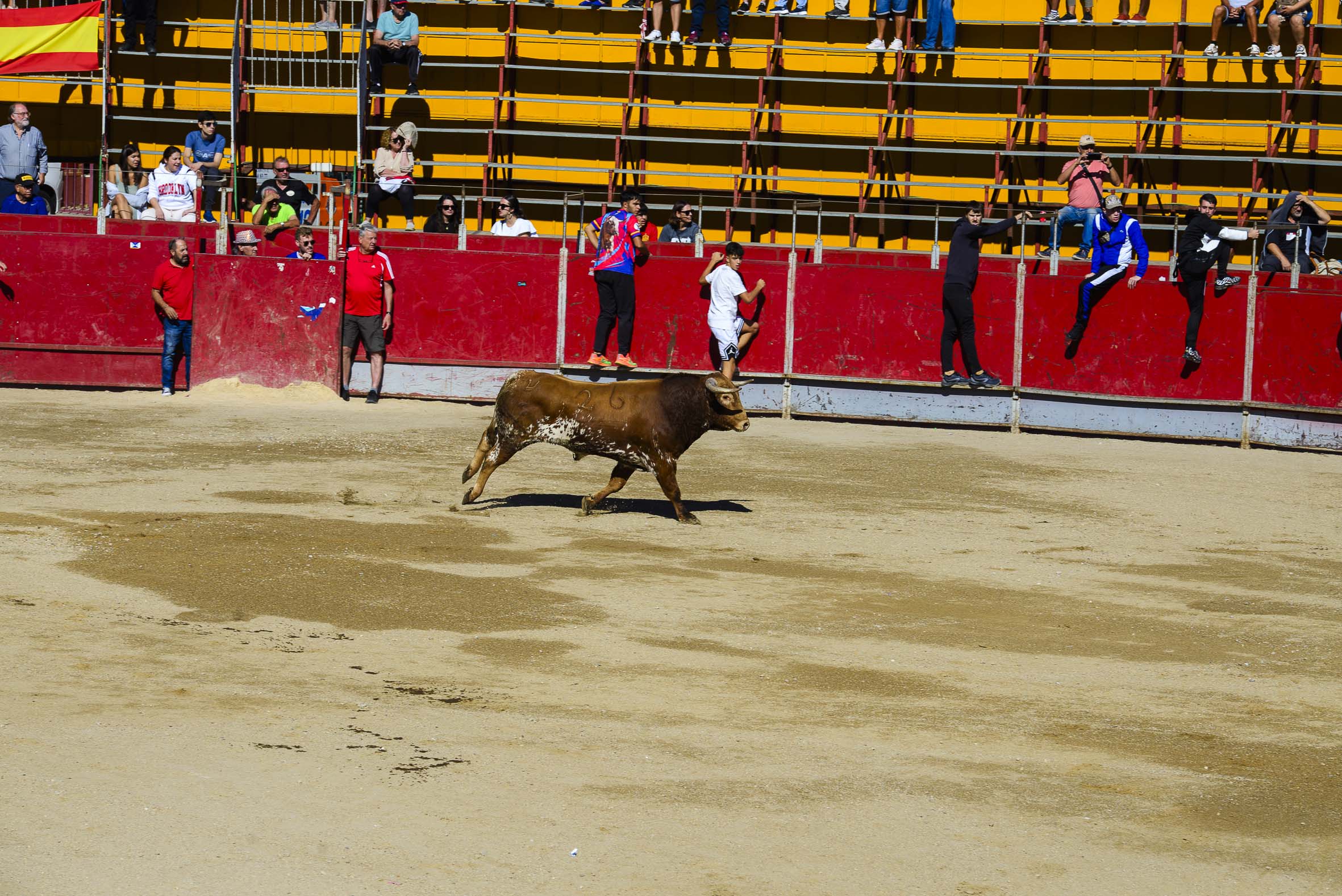 Encierro martes 26 septiembre