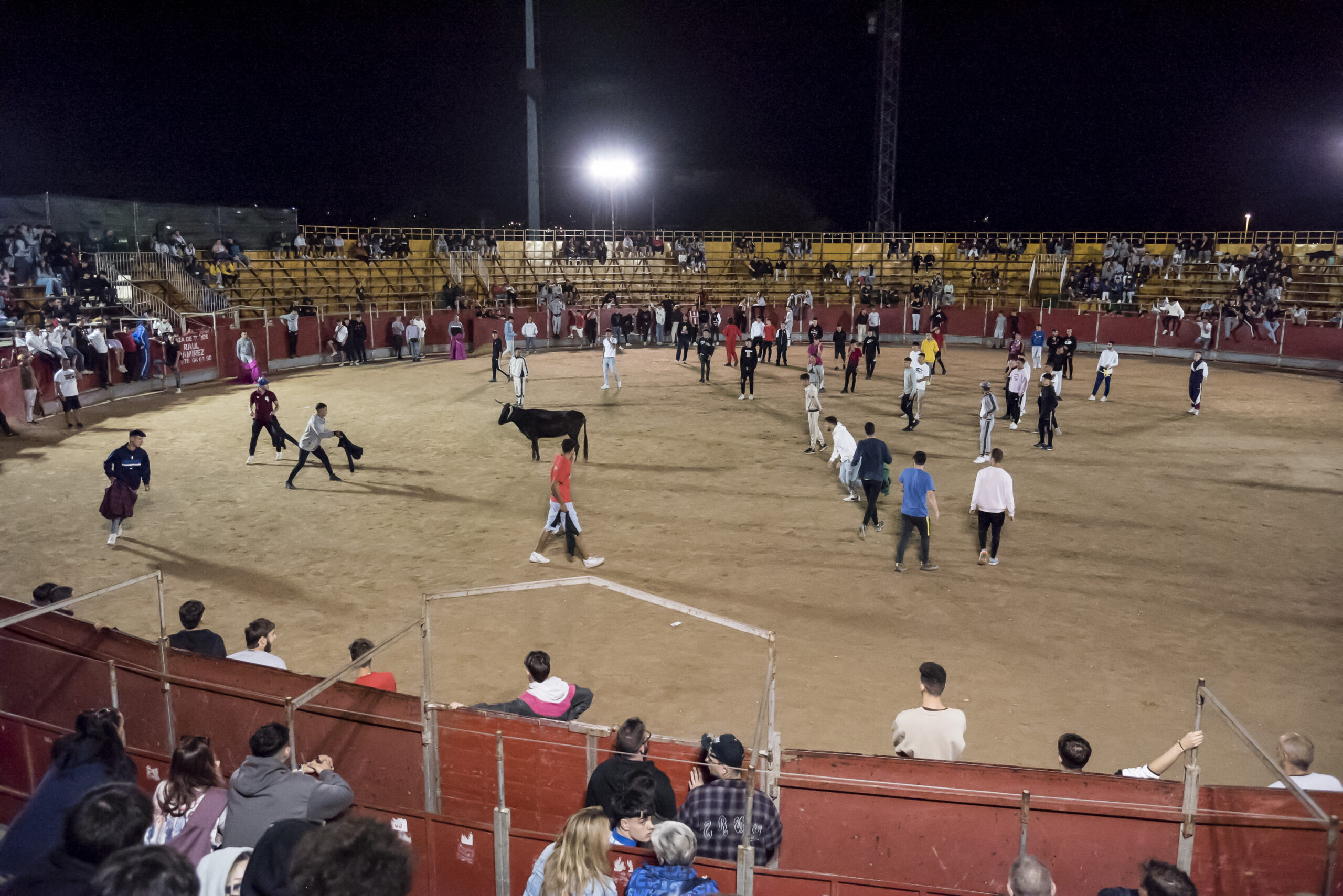 Suelta de vaquillas nocturna