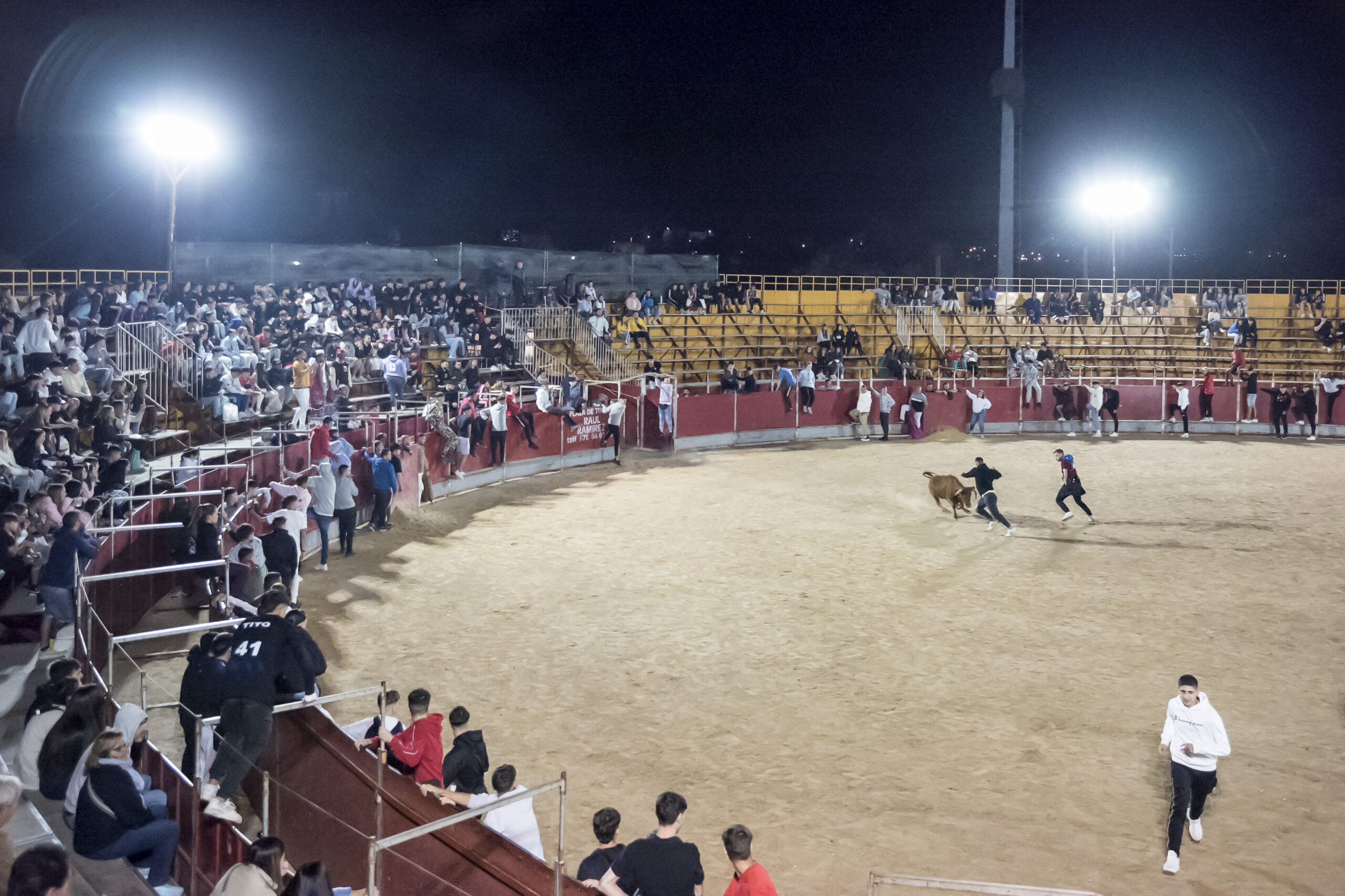 Suelta de vaquillas nocturna