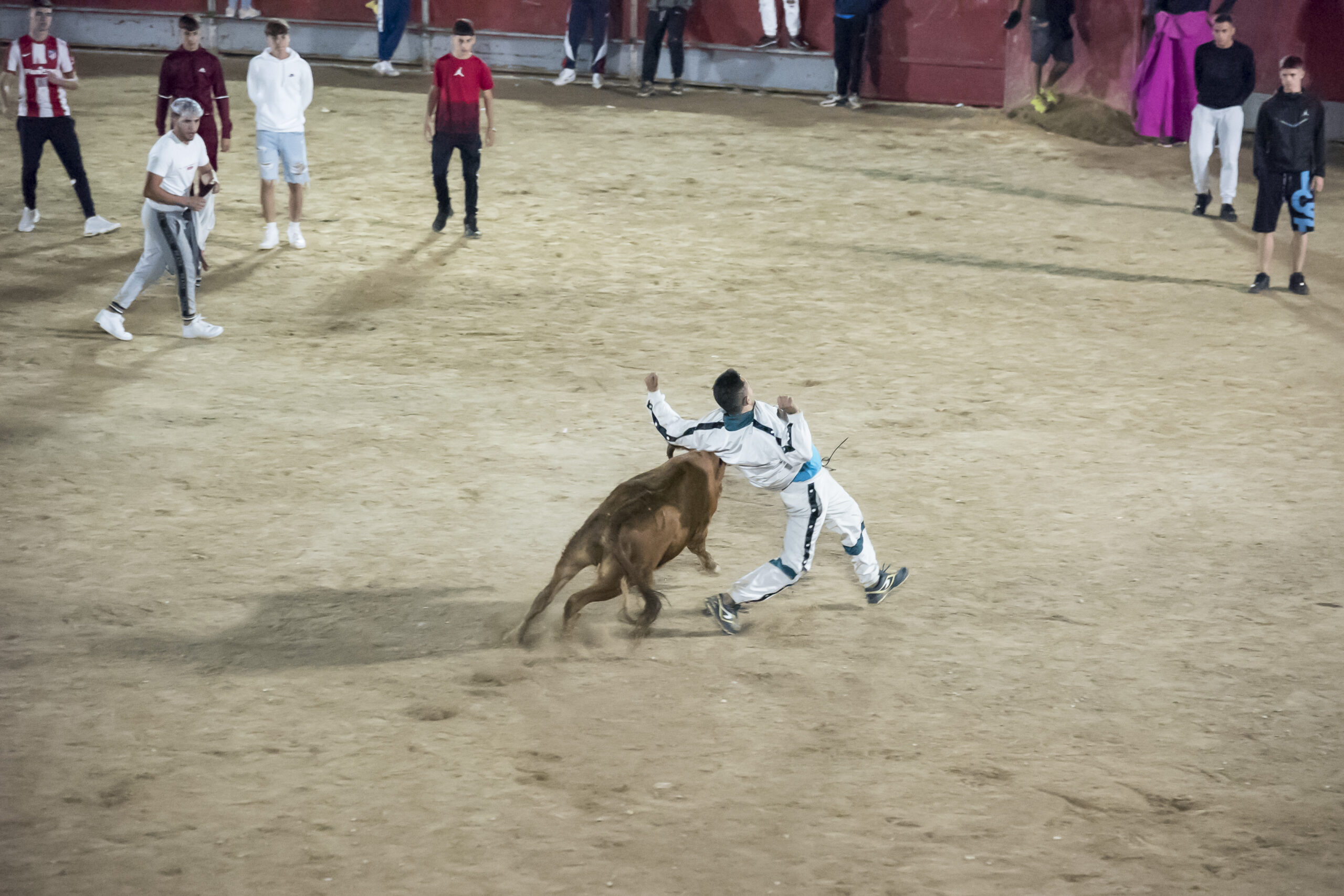 Suelta de vaquillas nocturna