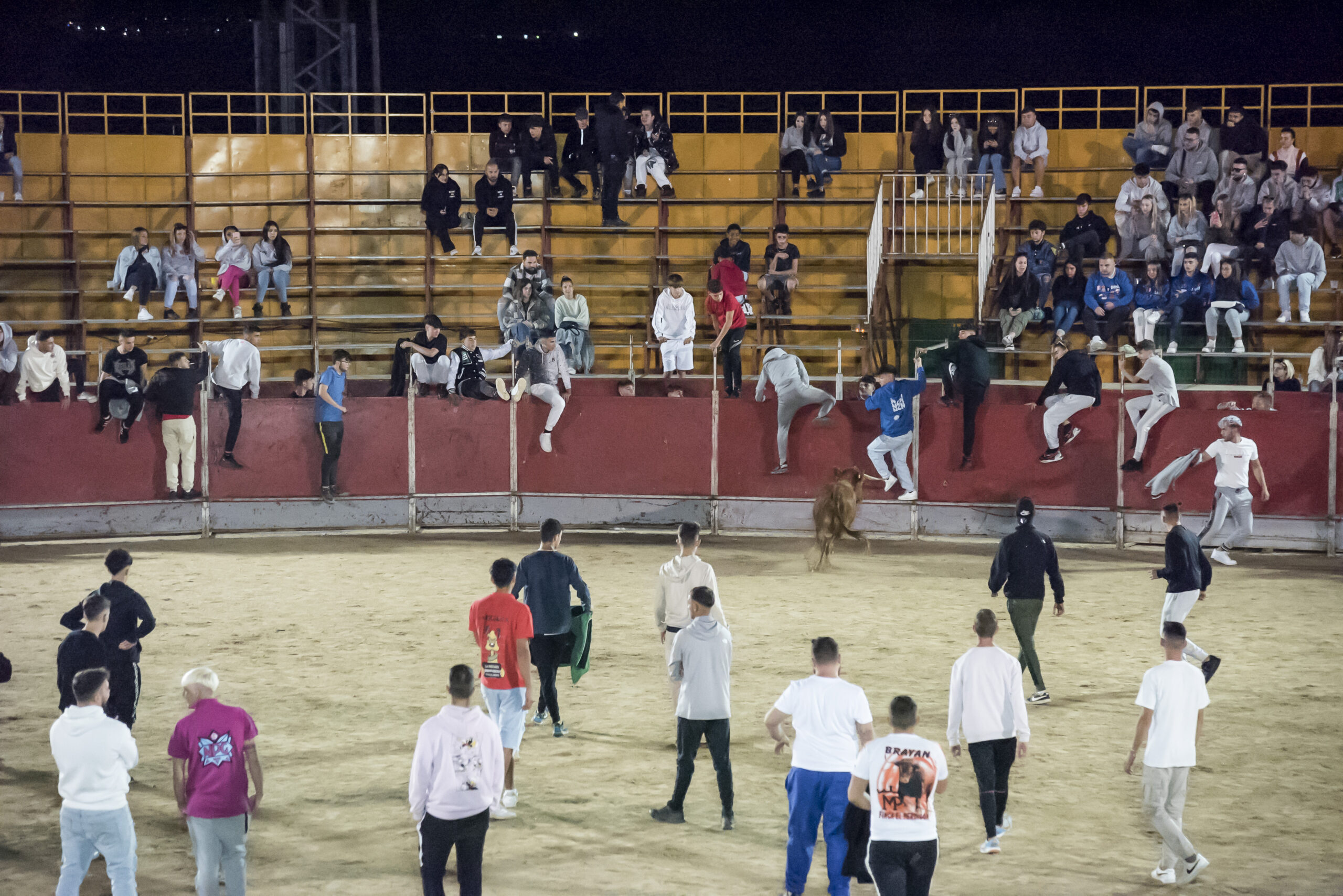 Suelta de vaquillas nocturna