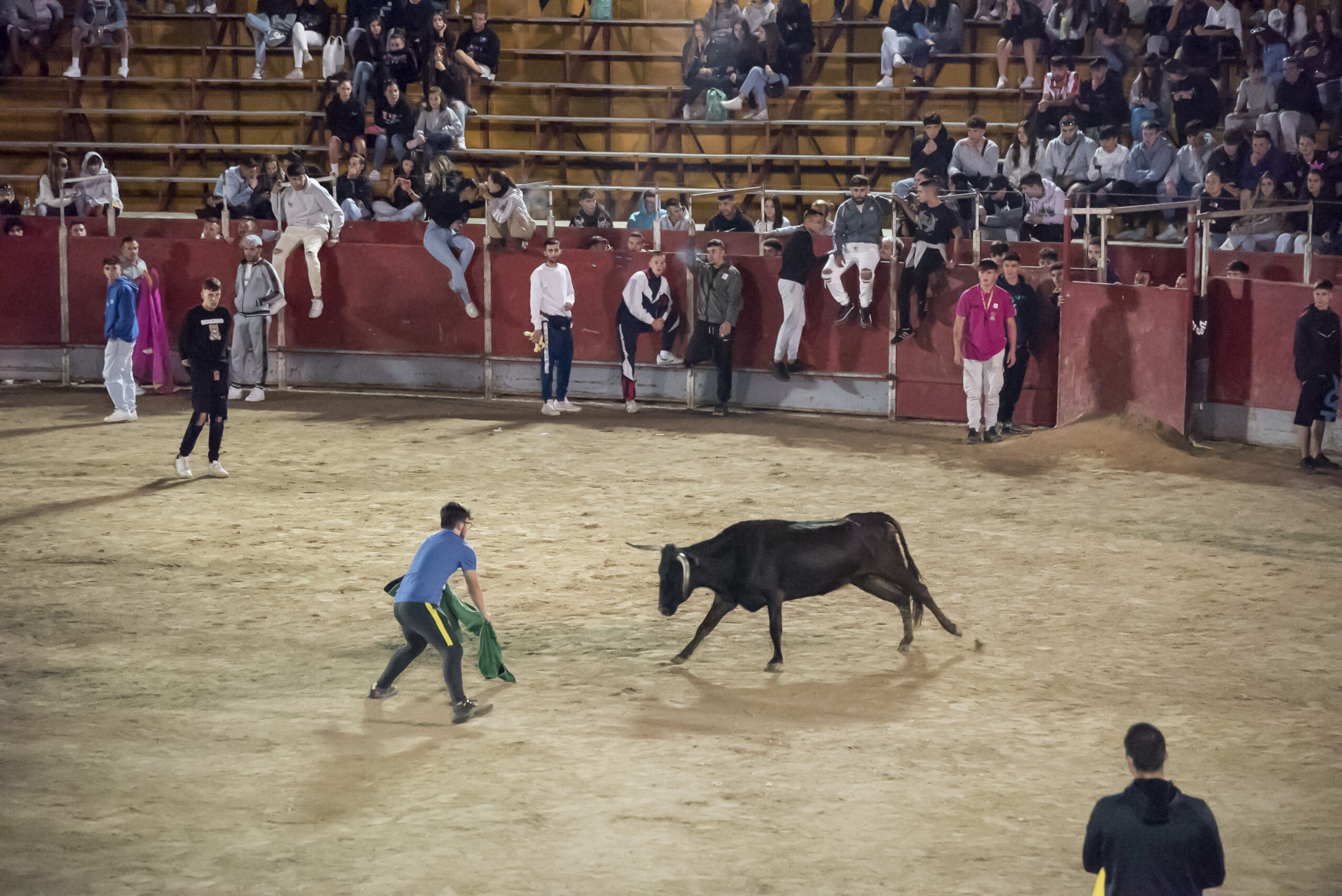 Suelta de vaquillas nocturna