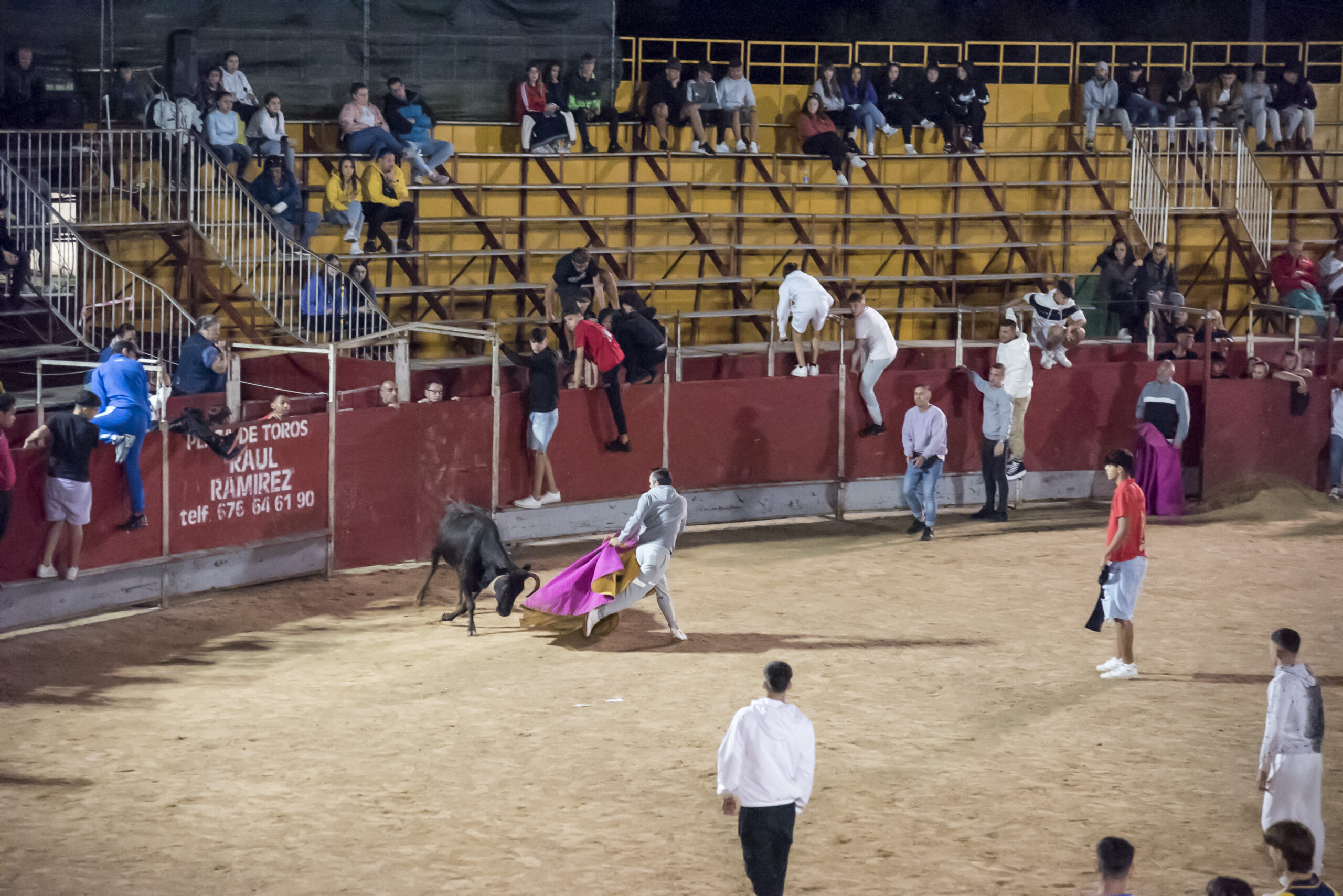 Suelta de vaquillas nocturna