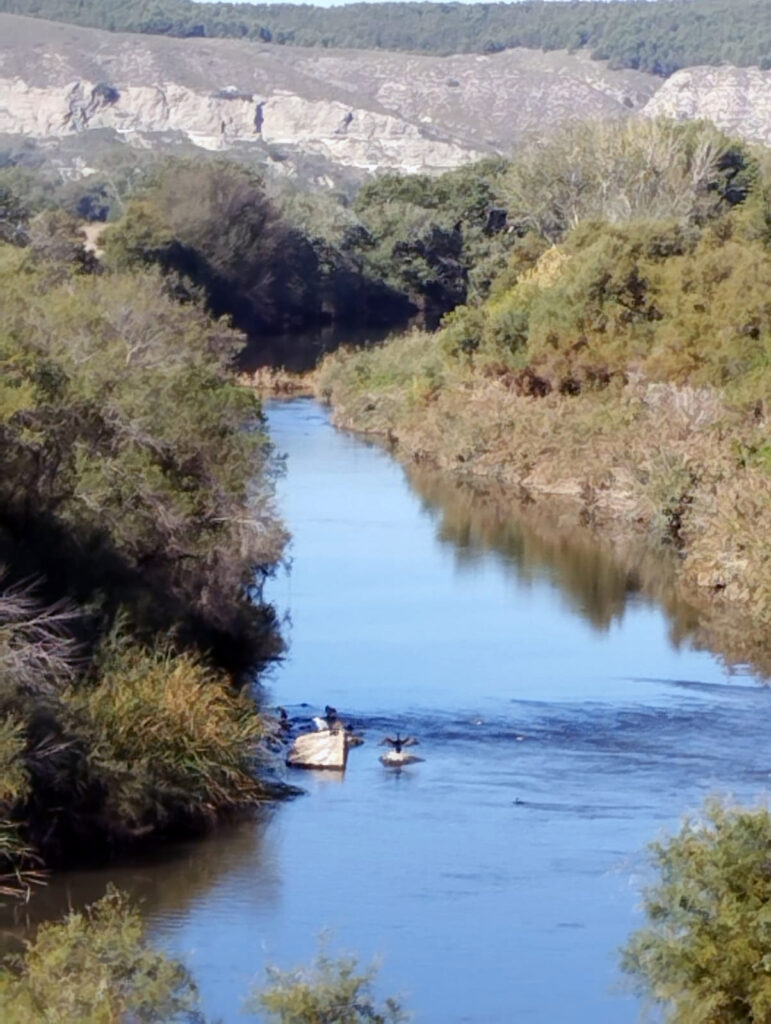 20230930 ruta aves y recogida basuraleza (9)