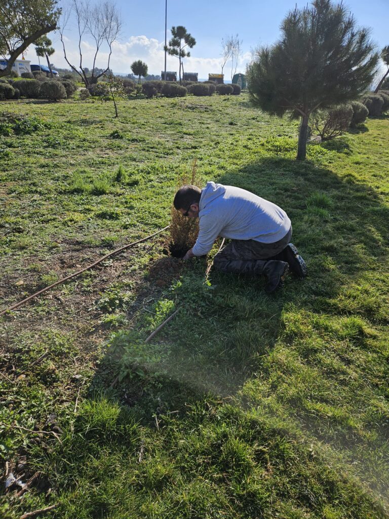 20240121 plantacion arboles (5)