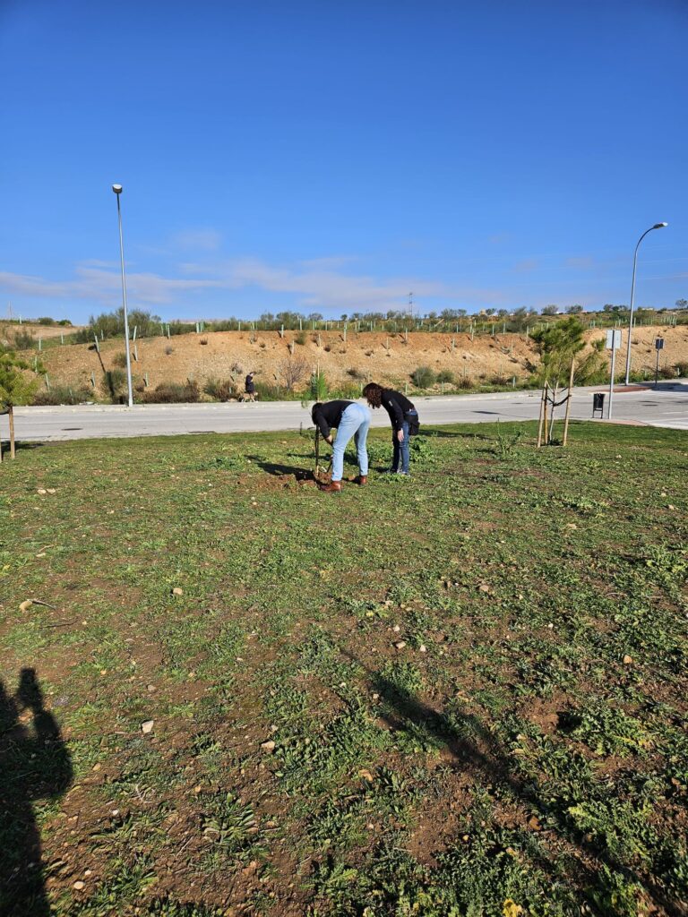 20240121 plantacion arboles (6)