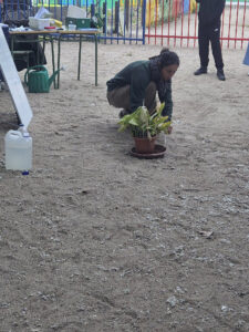20240424 talleres mosquito tigre (1)