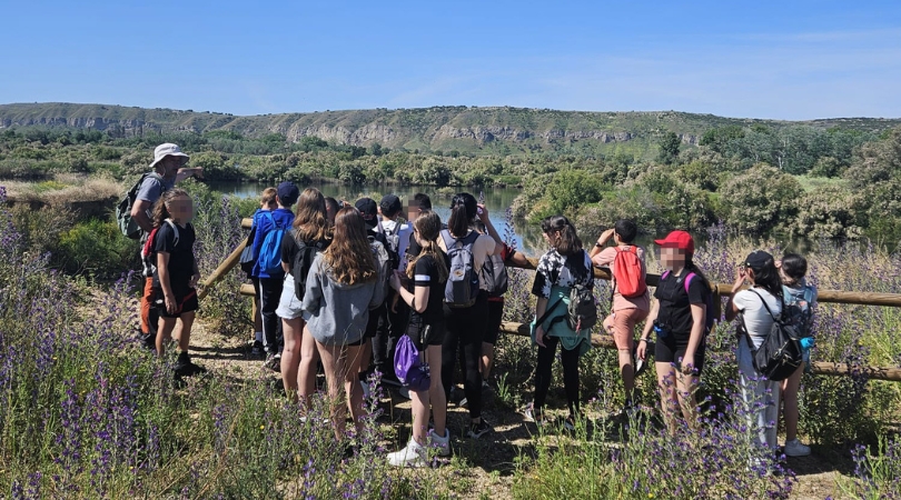 El alumnado de los centros educativos de Velilla ha vuelto a participar este curso en el programa municipal “Talleres de educación ambiental en Velilla de San Antonio”