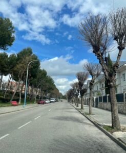 2025 campaña podas (1)
