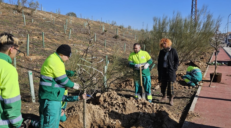 Inicio de la plantación en la calle Berlín