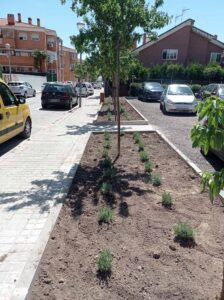 20250425 plantacion aparcamiento colombia (8)