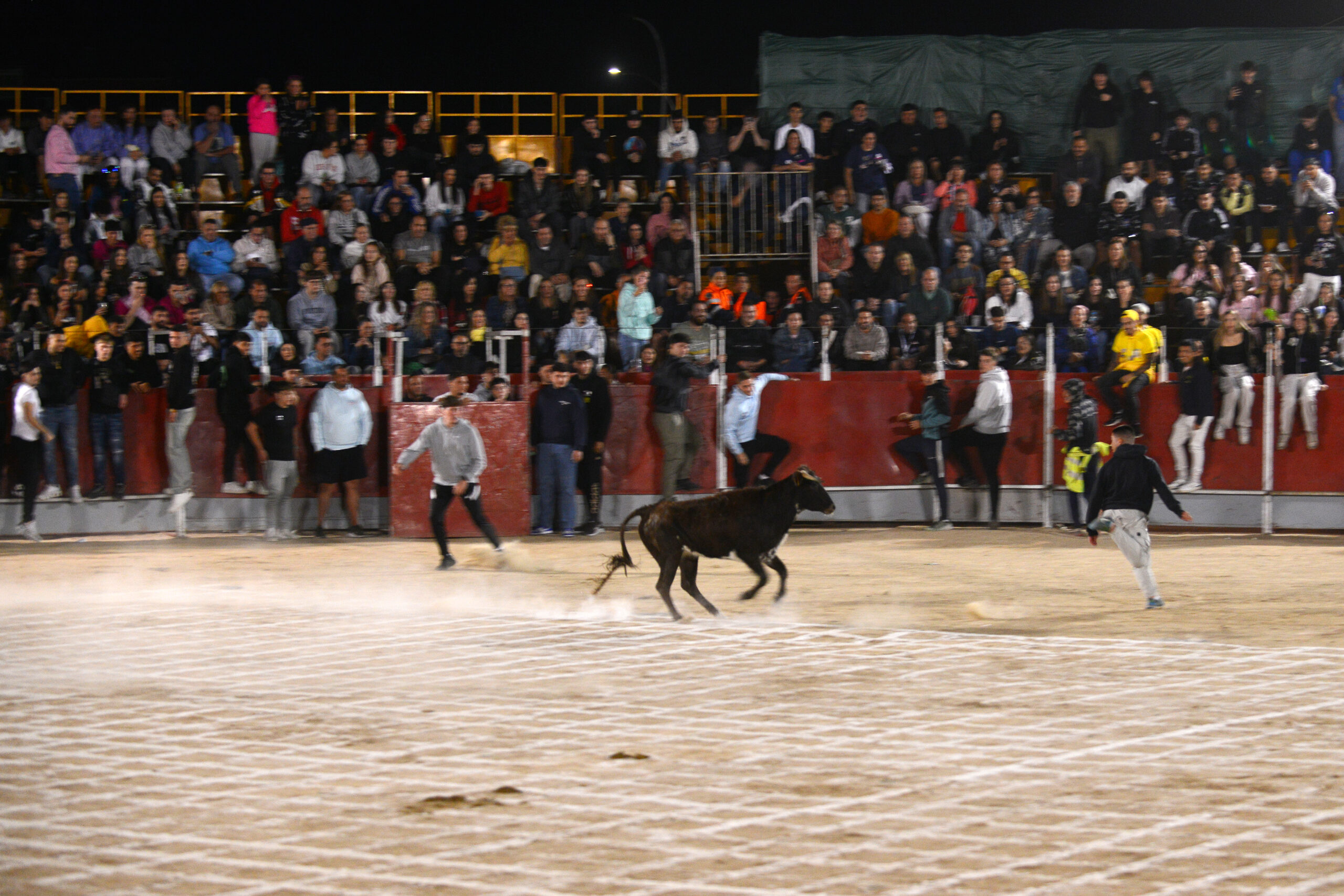 Suelta de vaquillas