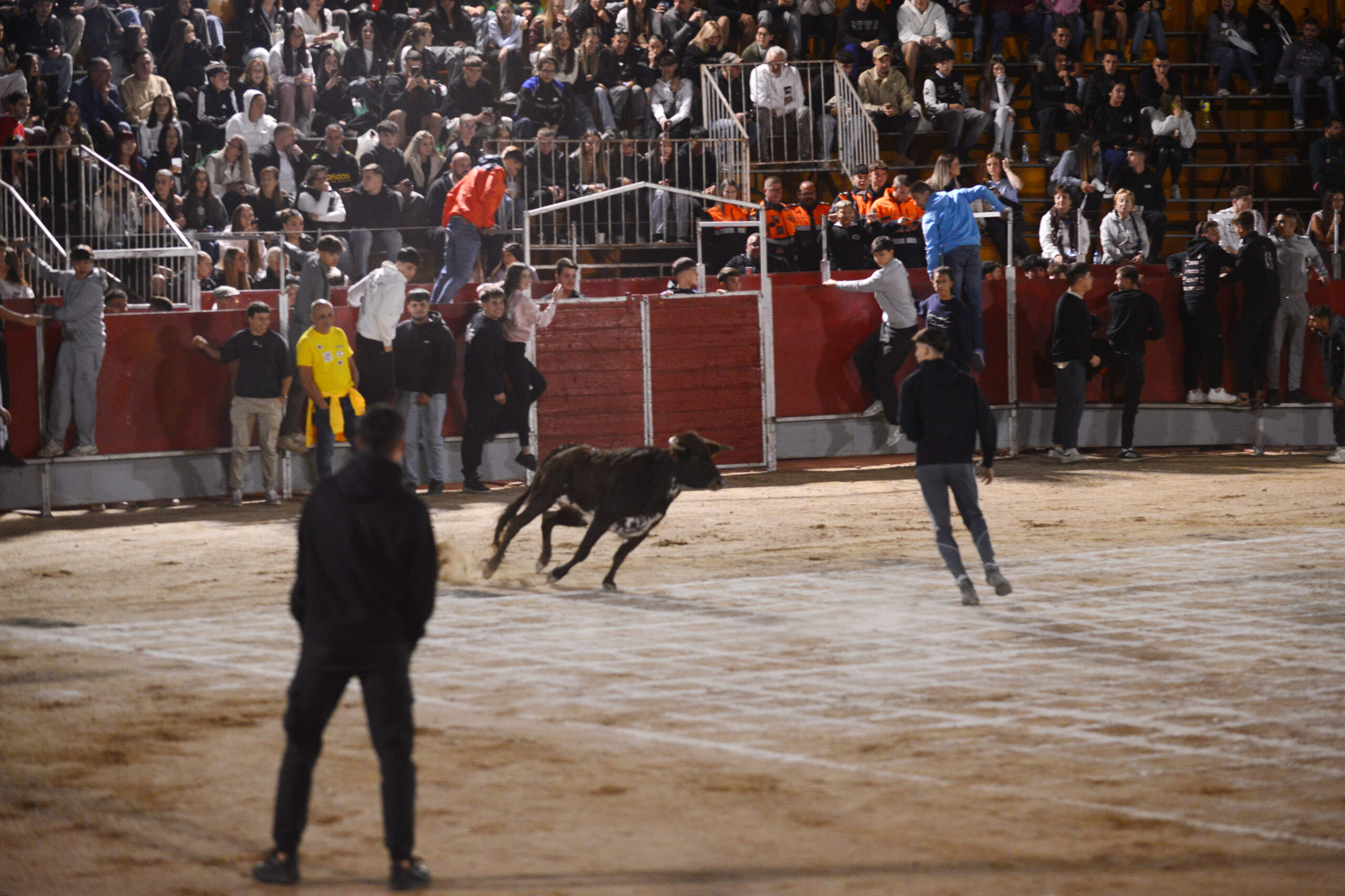 Suelta de vaquillas