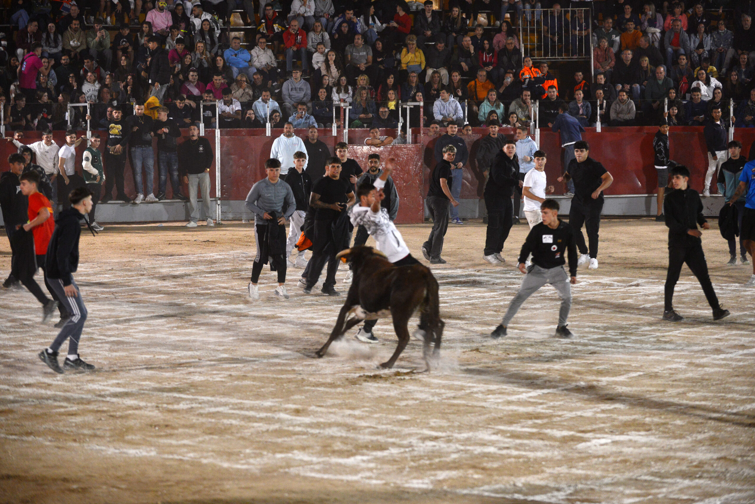 Suelta de vaquillas