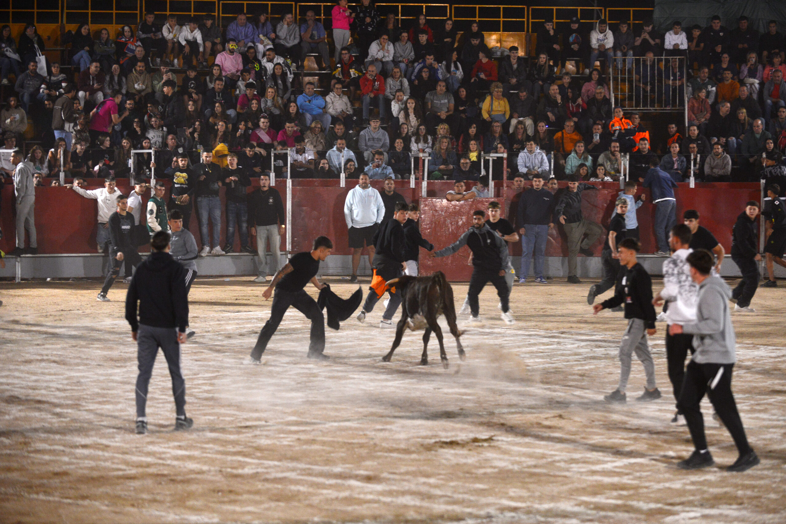 Suelta de vaquillas