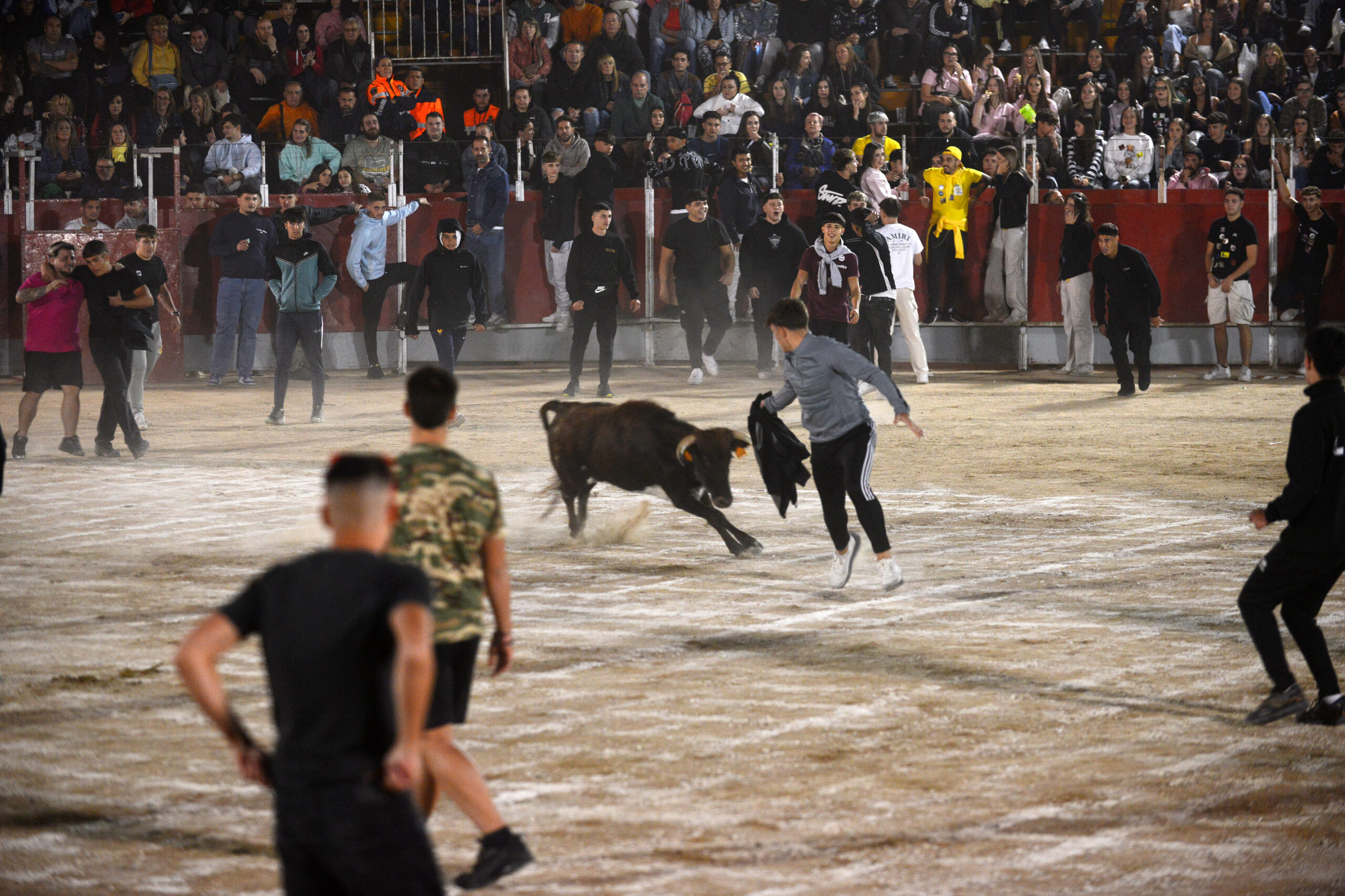 Suelta de vaquillas