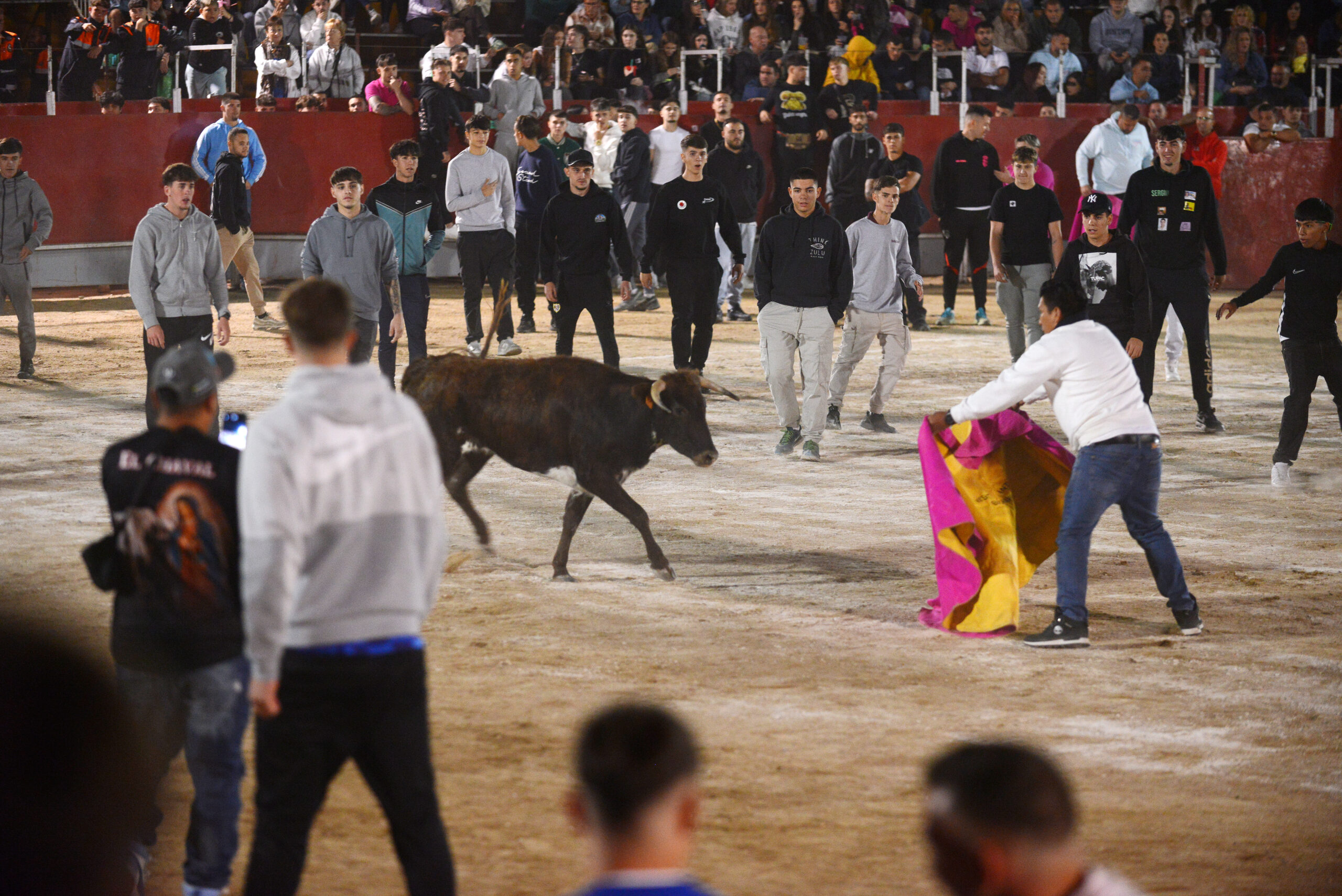 Suelta de vaquillas