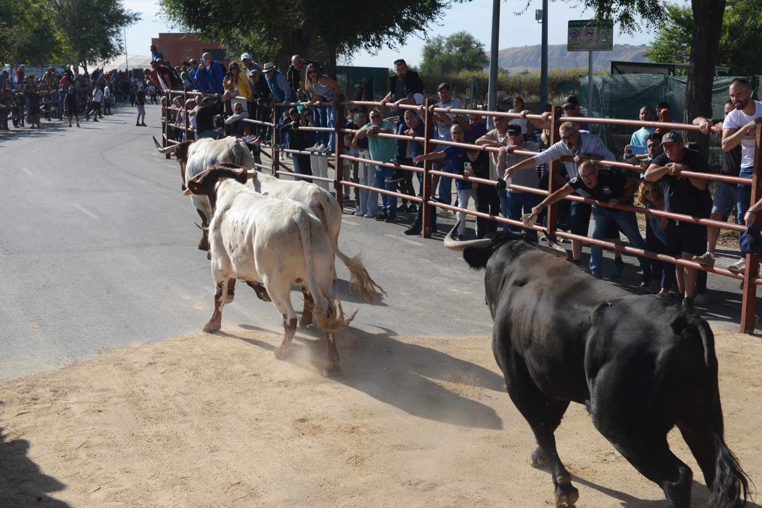 Encierro sábado mañana