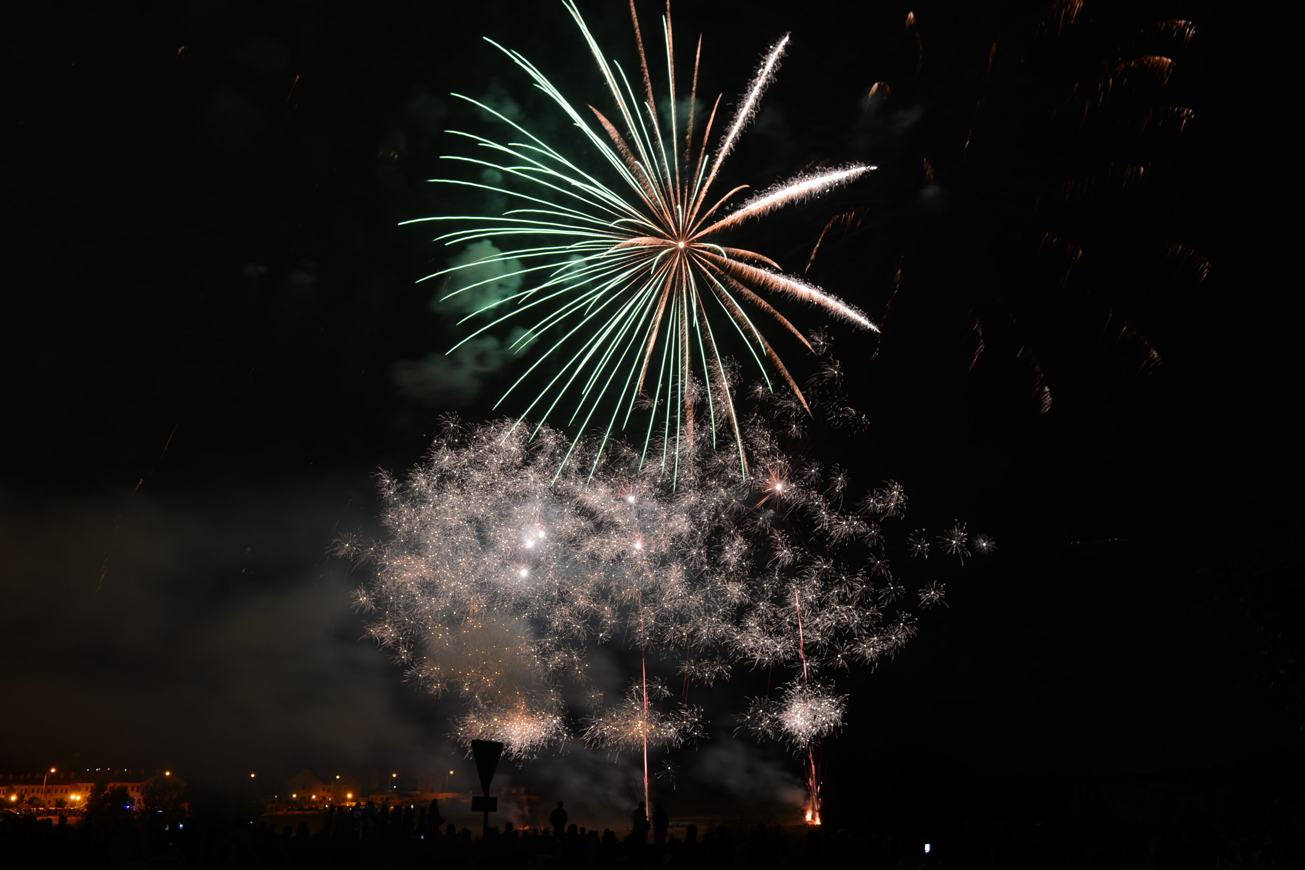 Fuegos artificiales