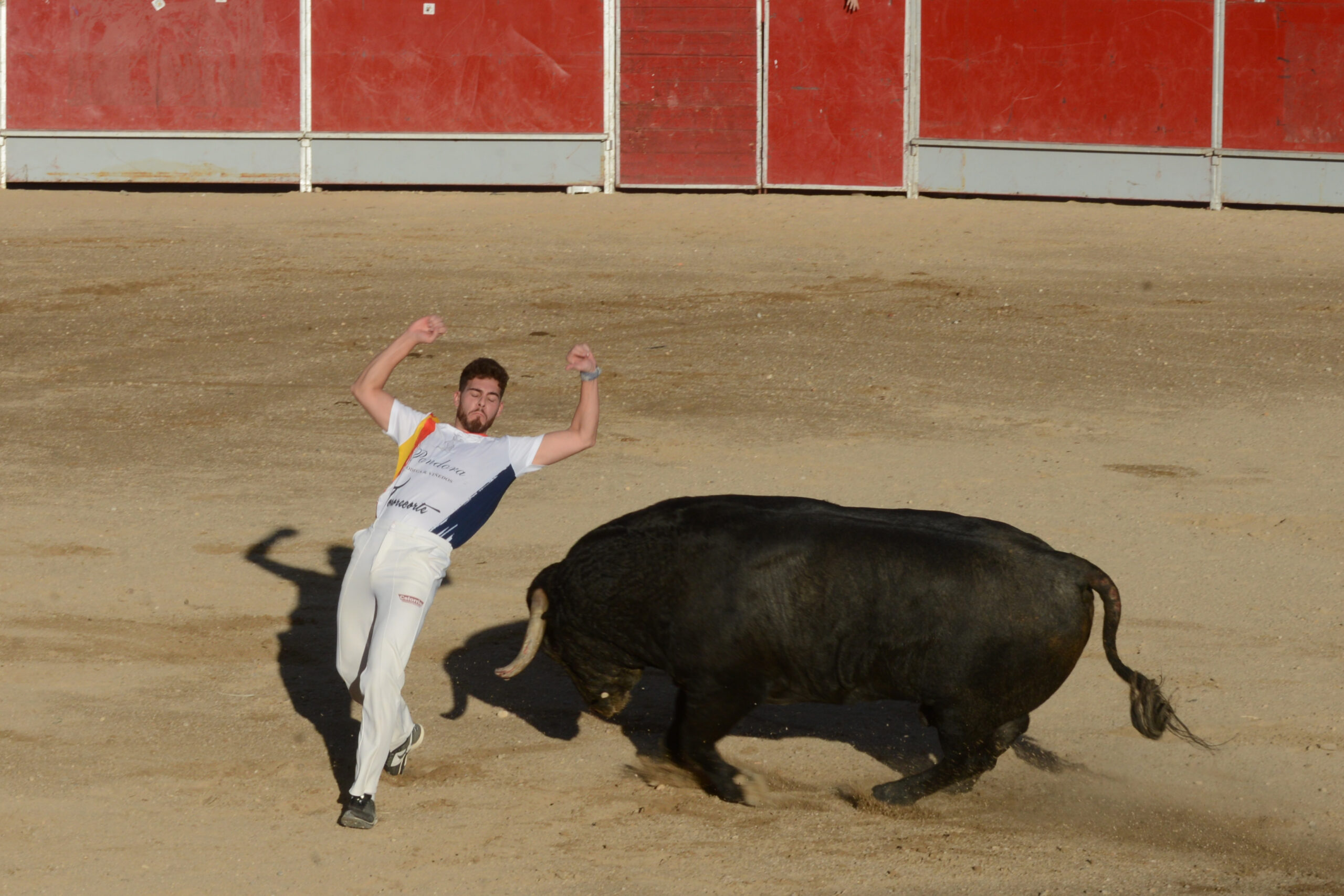 Concurso de recortes