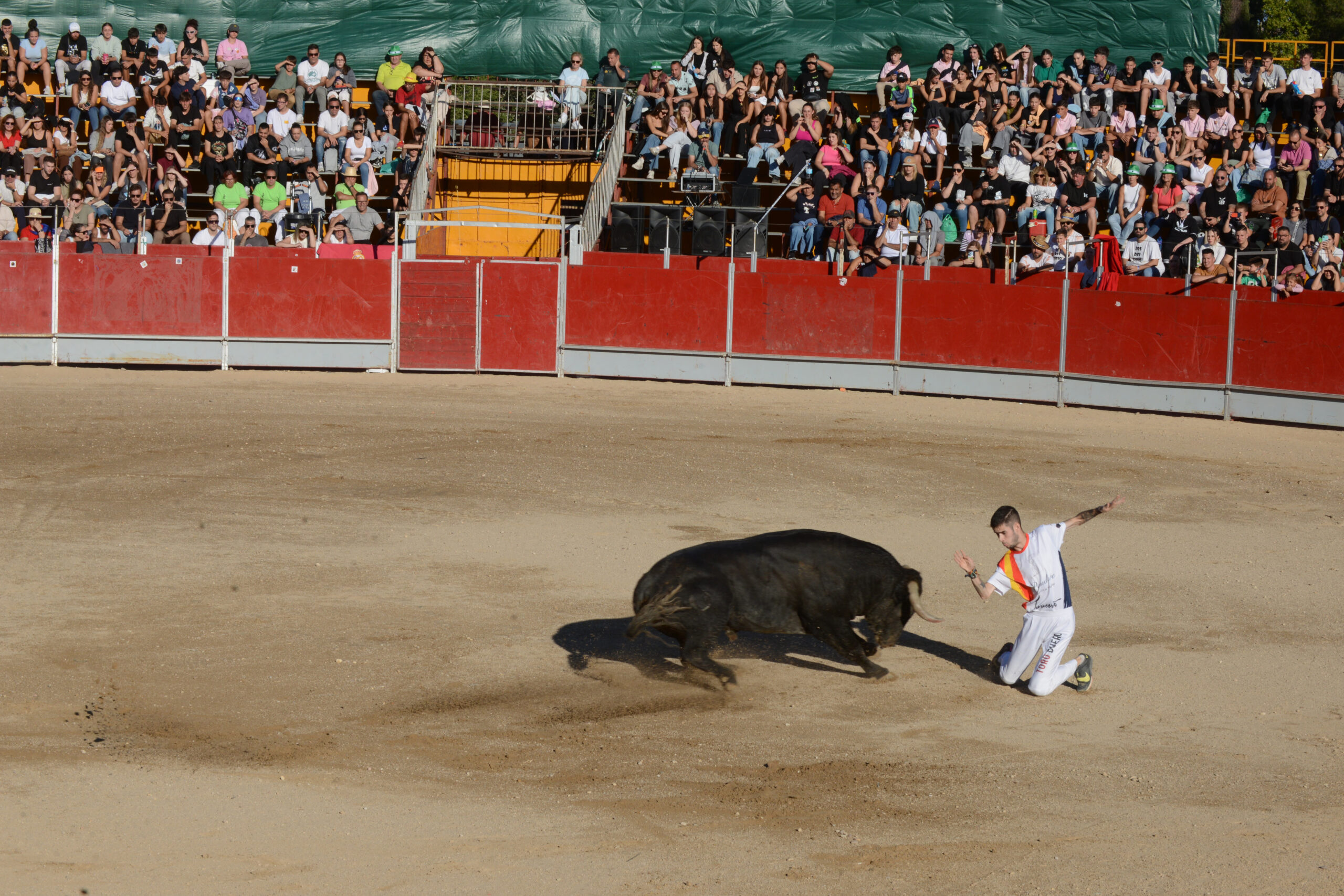 Concurso de recortes