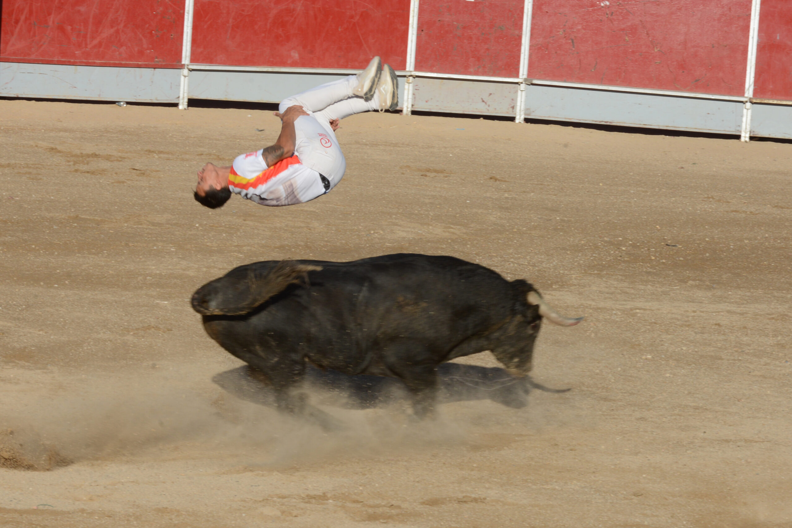 Concurso de recortes