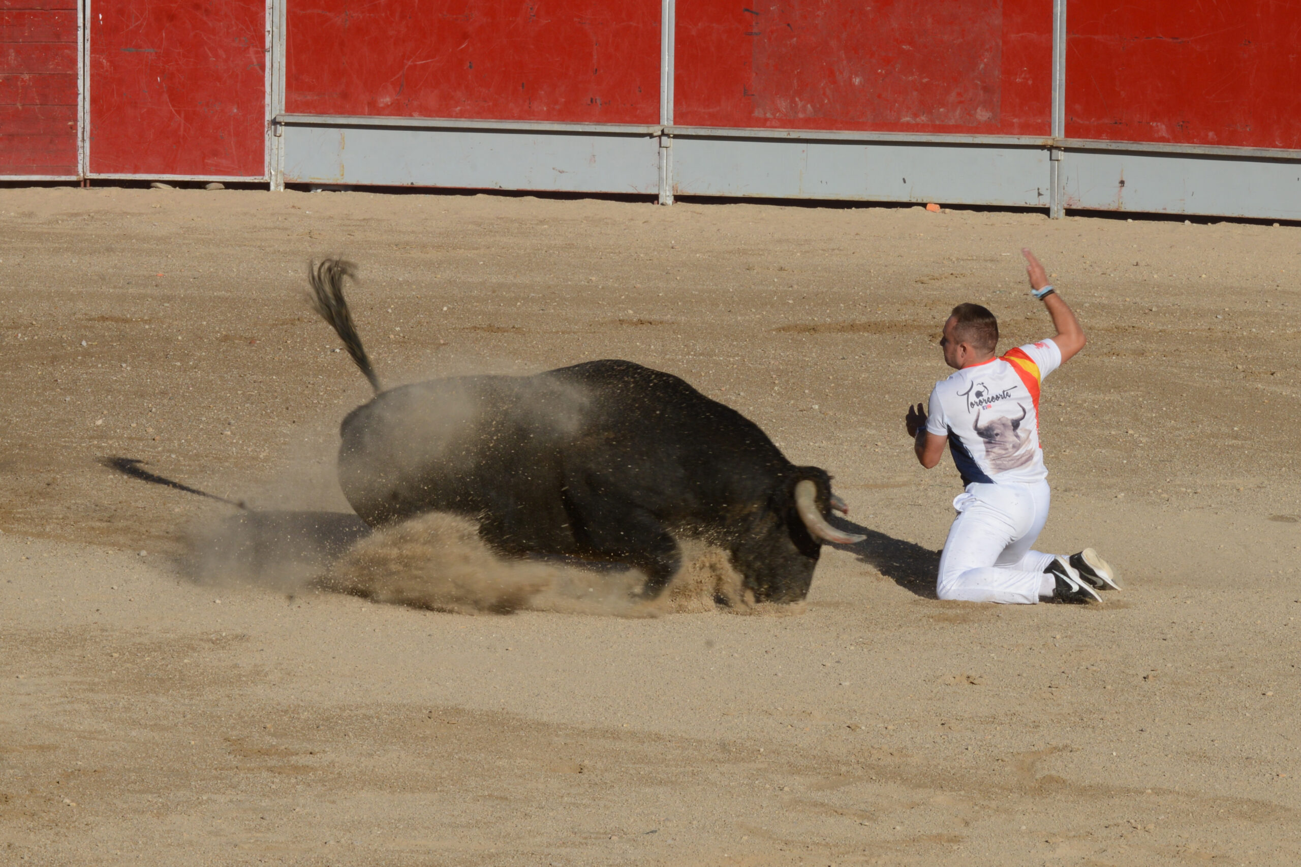 Concurso de recortes
