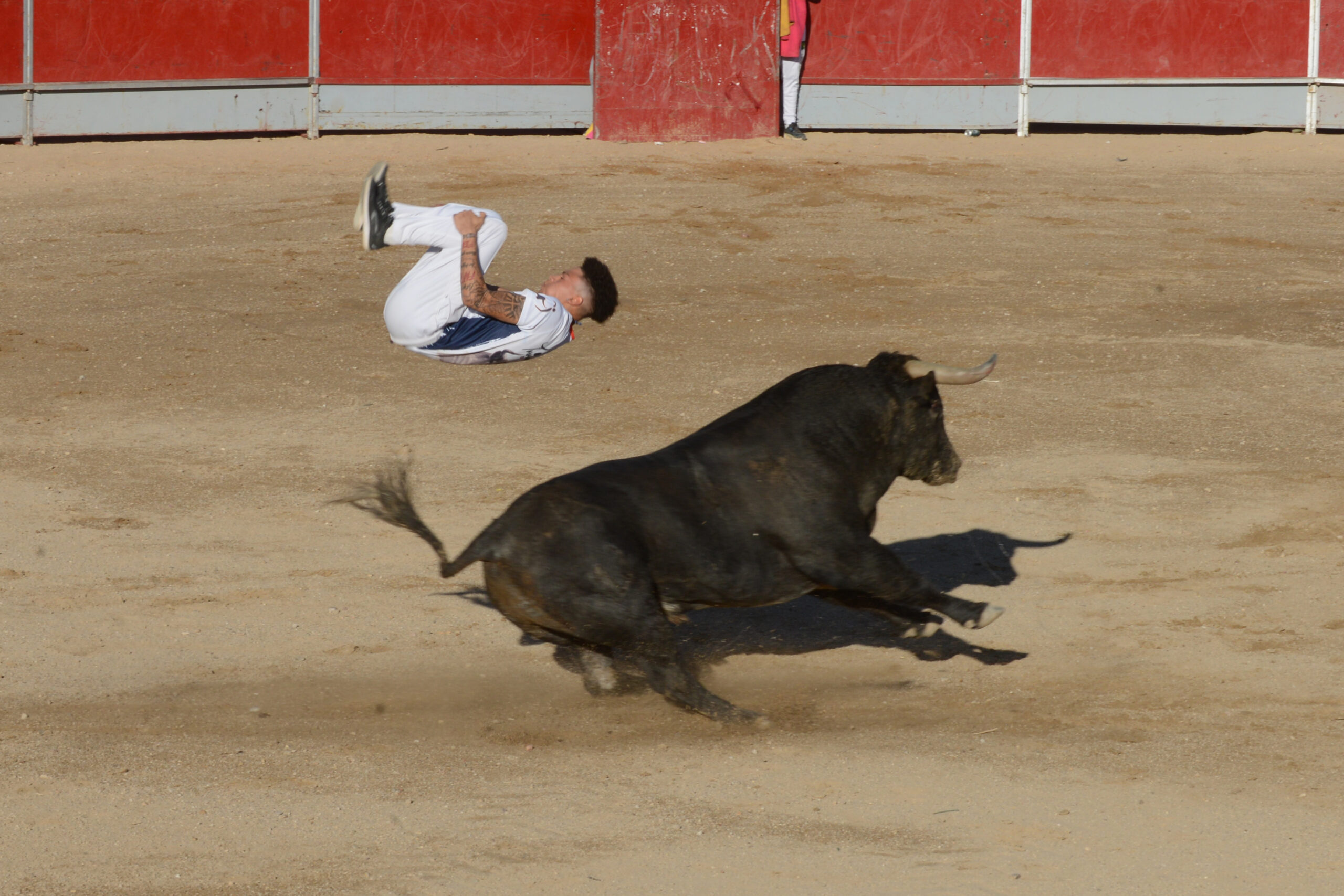 Concurso de recortes