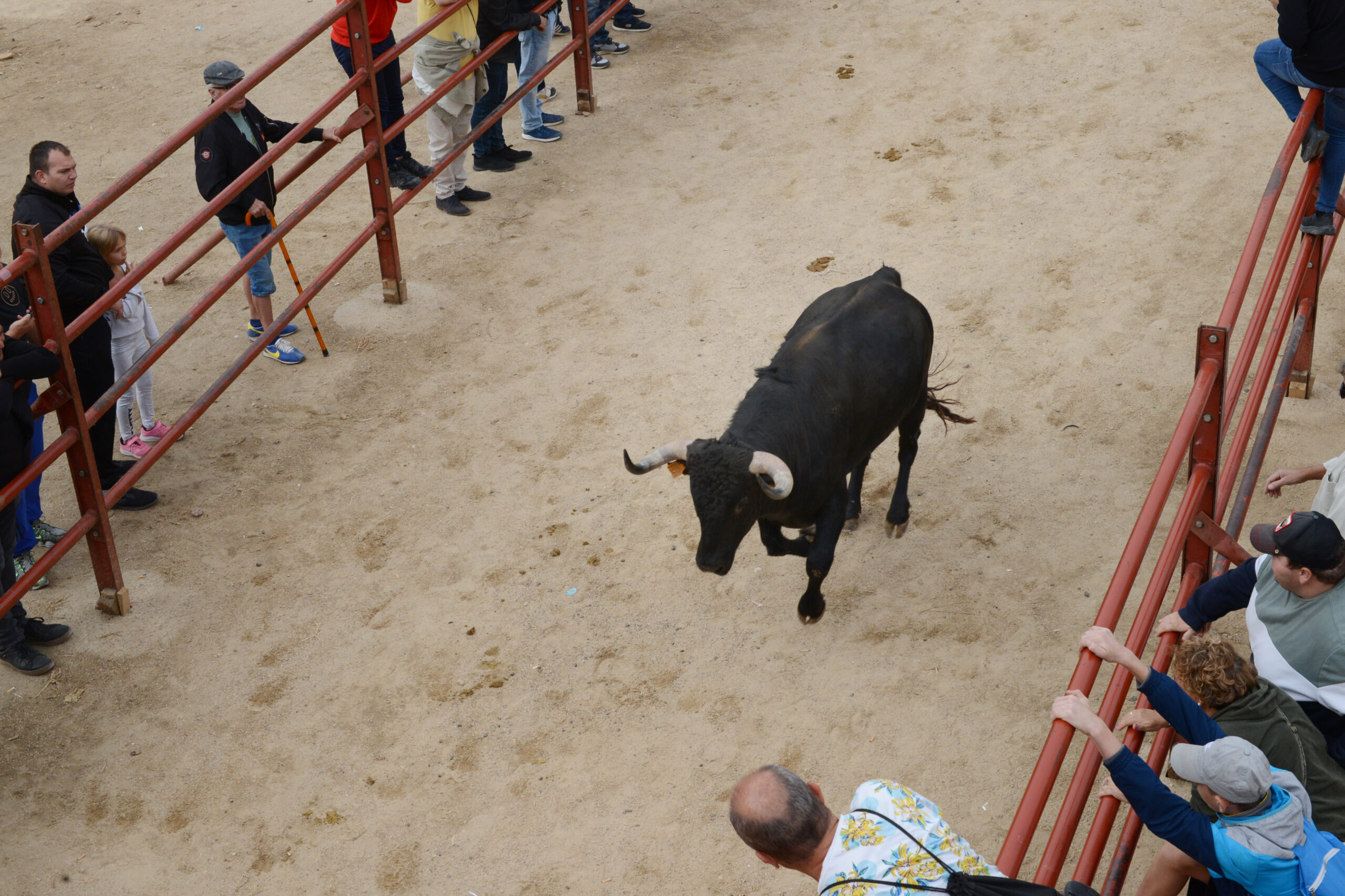 Encierro martes