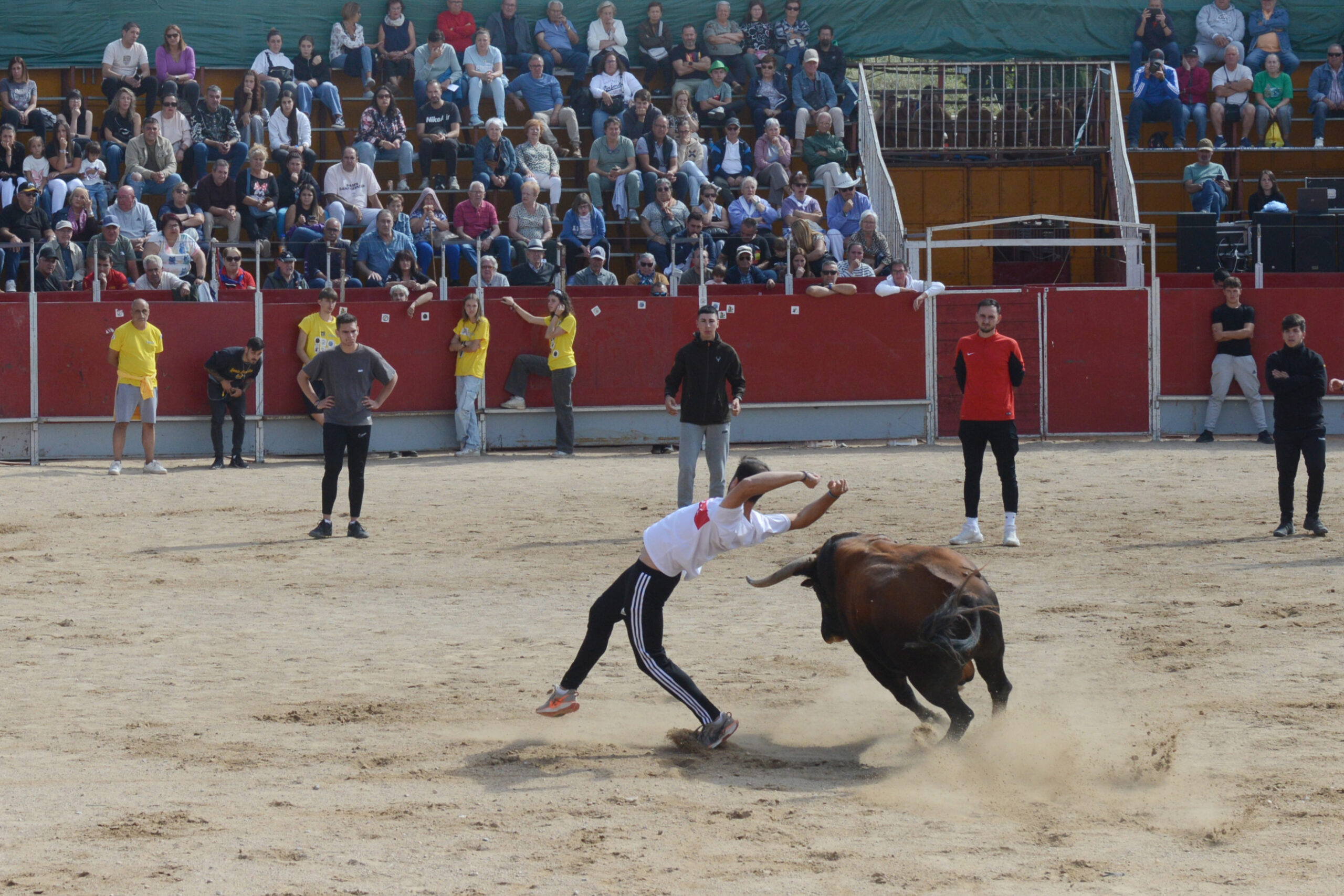 Encierro martes